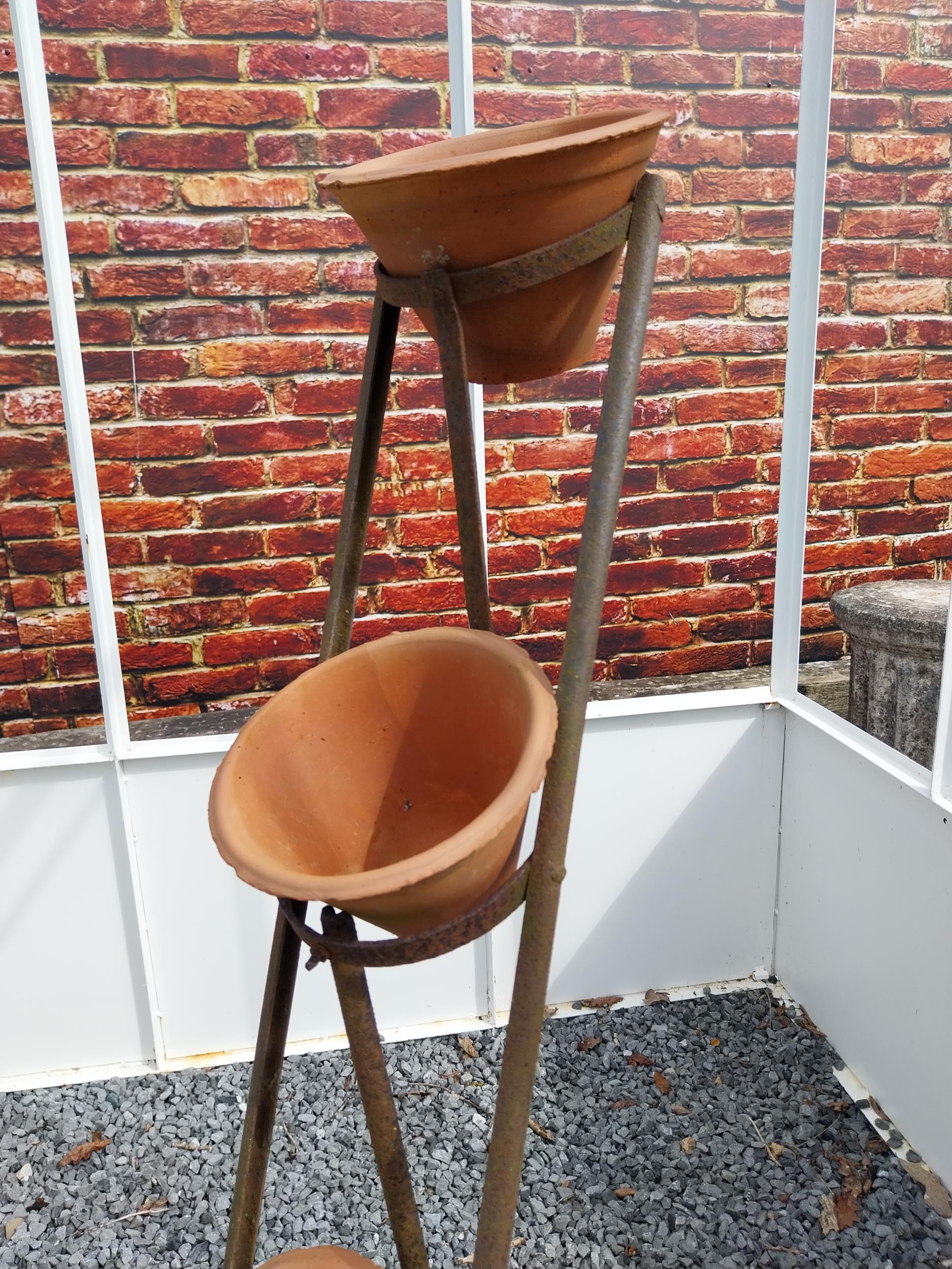 Early 20th C. four tiered wrought iron pot rack with terracotta plant pots {120 cm H x 46 cm W x - Image 3 of 4