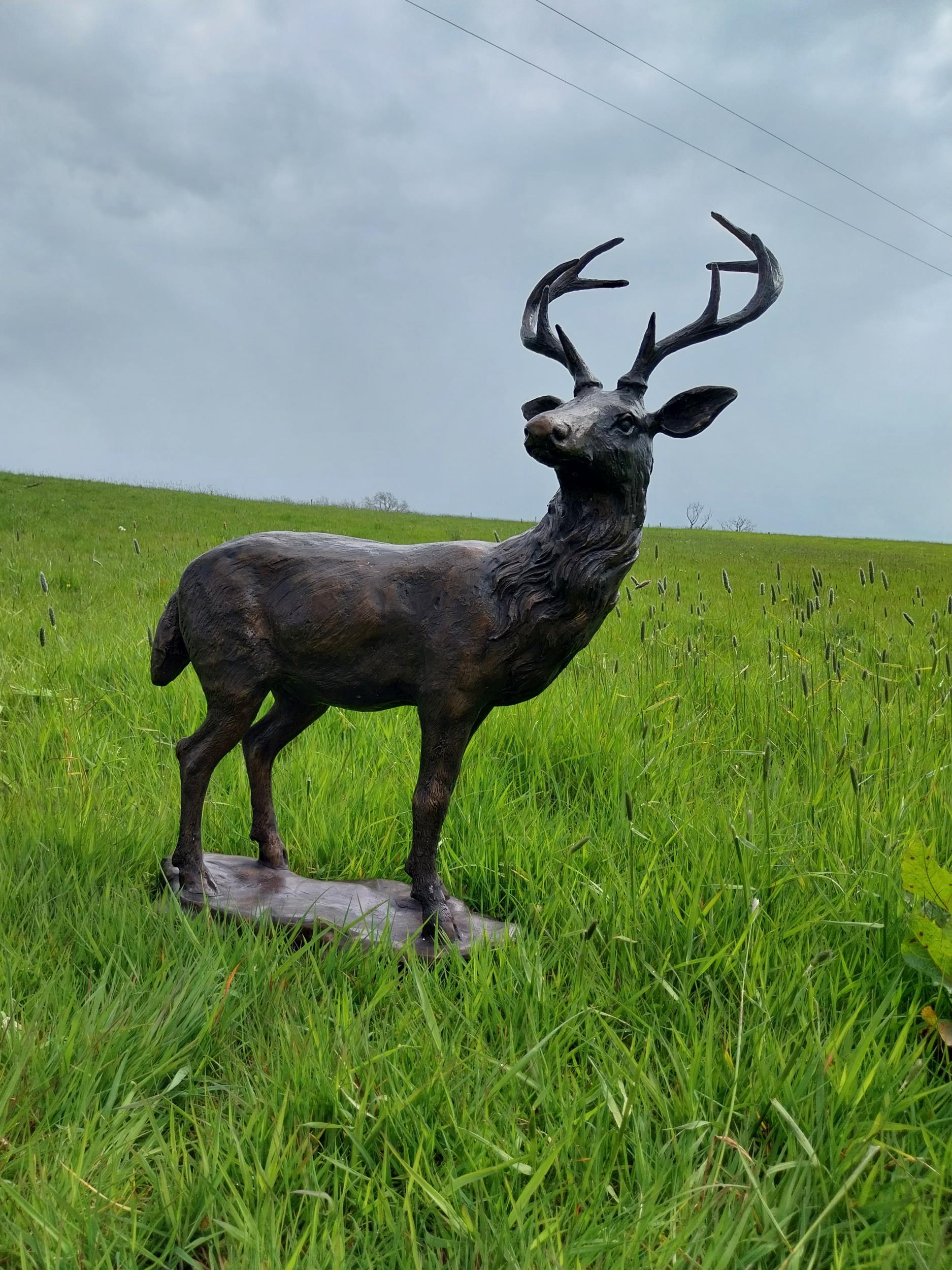 Exceptional quality statue of Stag on craggy rock {92 cm H x 78 cm W x 37 cm D}. - Bild 5 aus 9