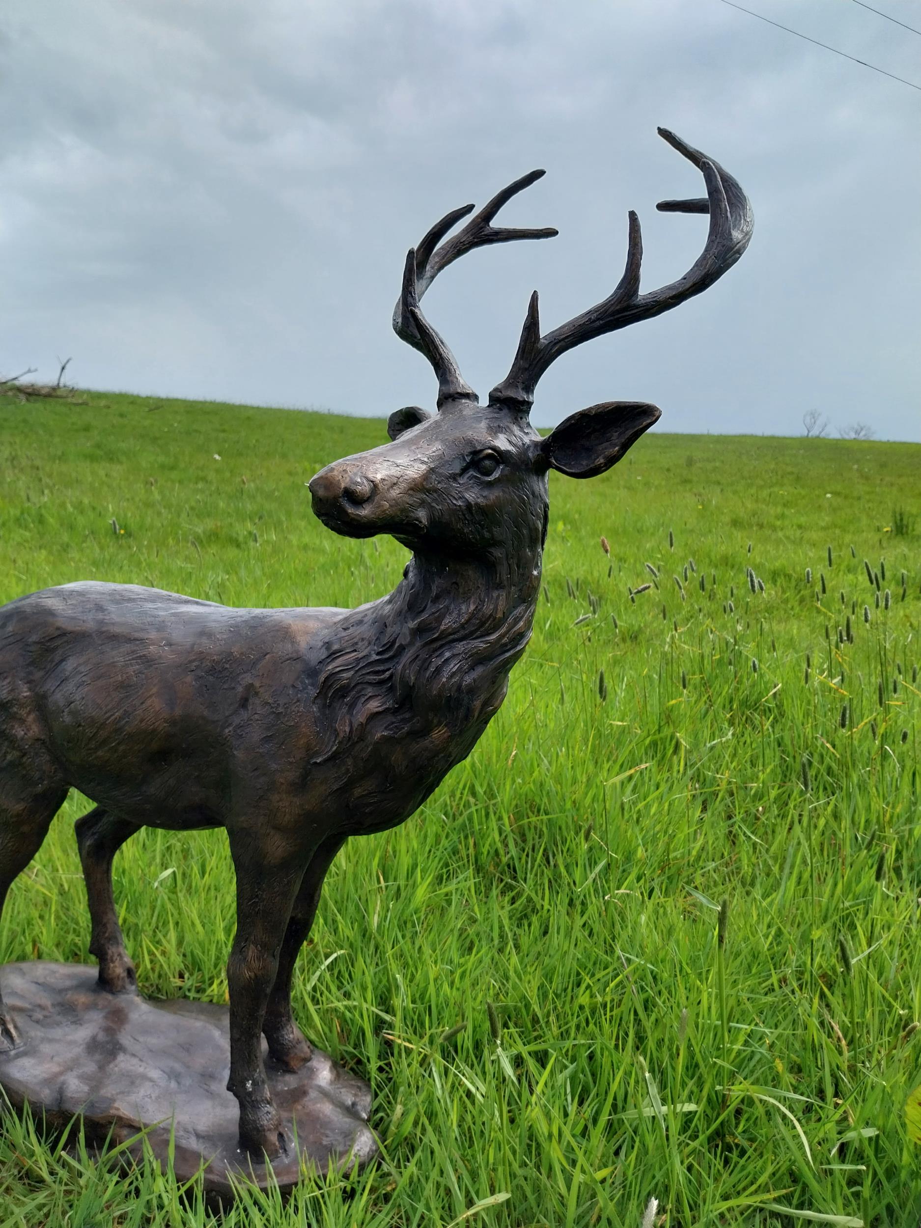 Exceptional quality statue of Stag on craggy rock {92 cm H x 78 cm W x 37 cm D}. - Bild 4 aus 9