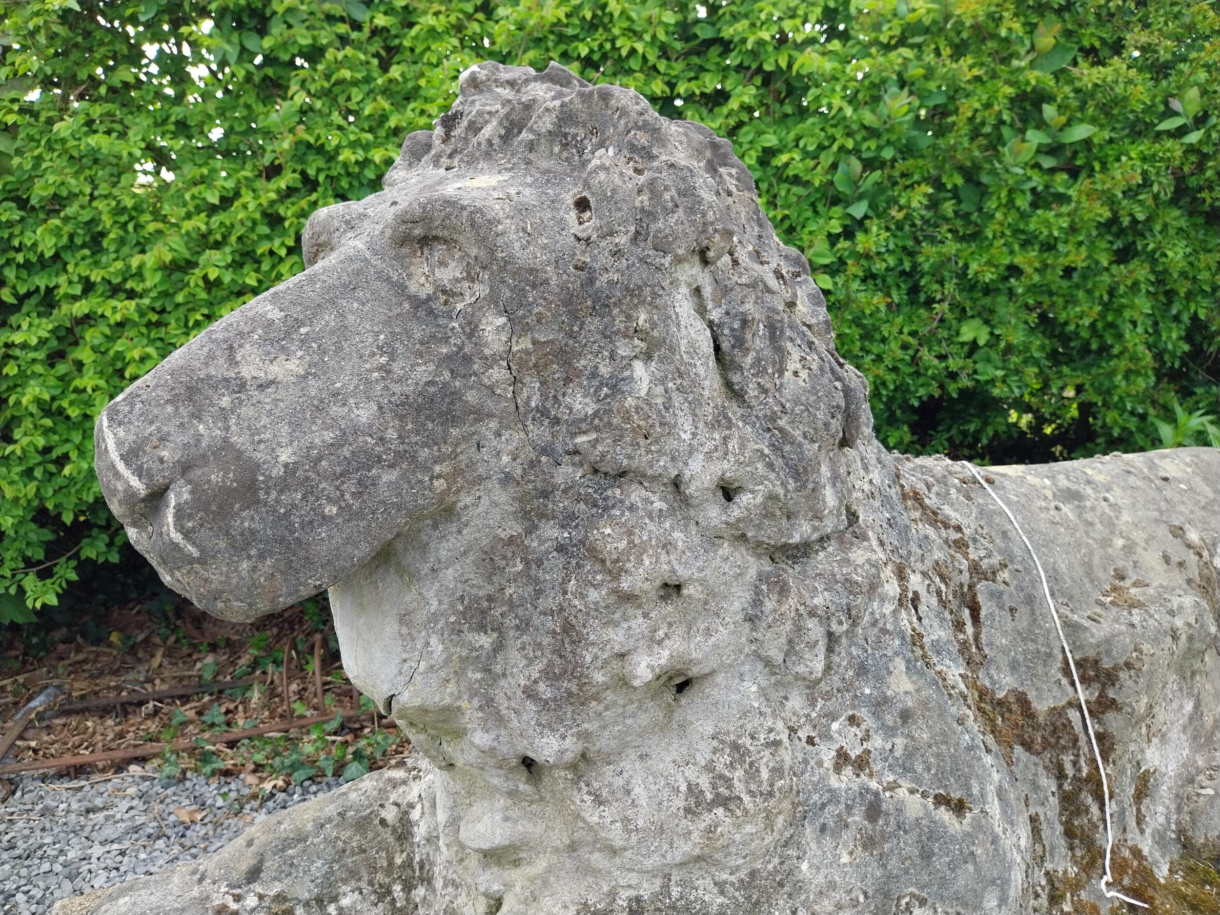 Early 20th C. composition statue of a recumbent Lion {82 cm H x 149 cm W x 60 cm D}. - Image 2 of 3