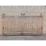 Pair of forged wrought iron gates heavy scroll design {H 142cm x W 240cm x D 7cm }. (NOT AVAILABLE