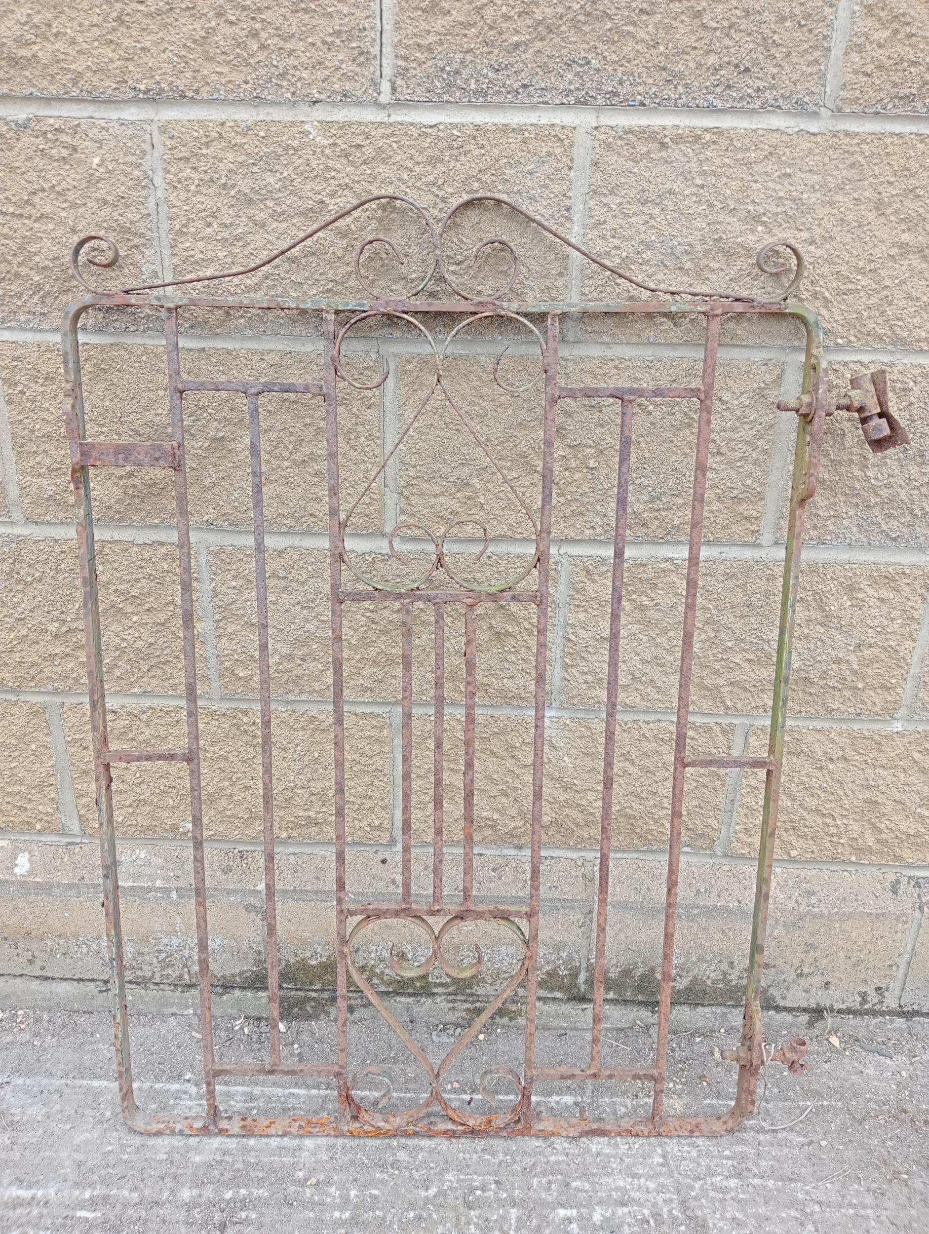 Wrought iron garden gate with scroll design{H 115cm x W 81cm }. (NOT AVAILABLE TO VIEW IN PERSON) - Image 2 of 2