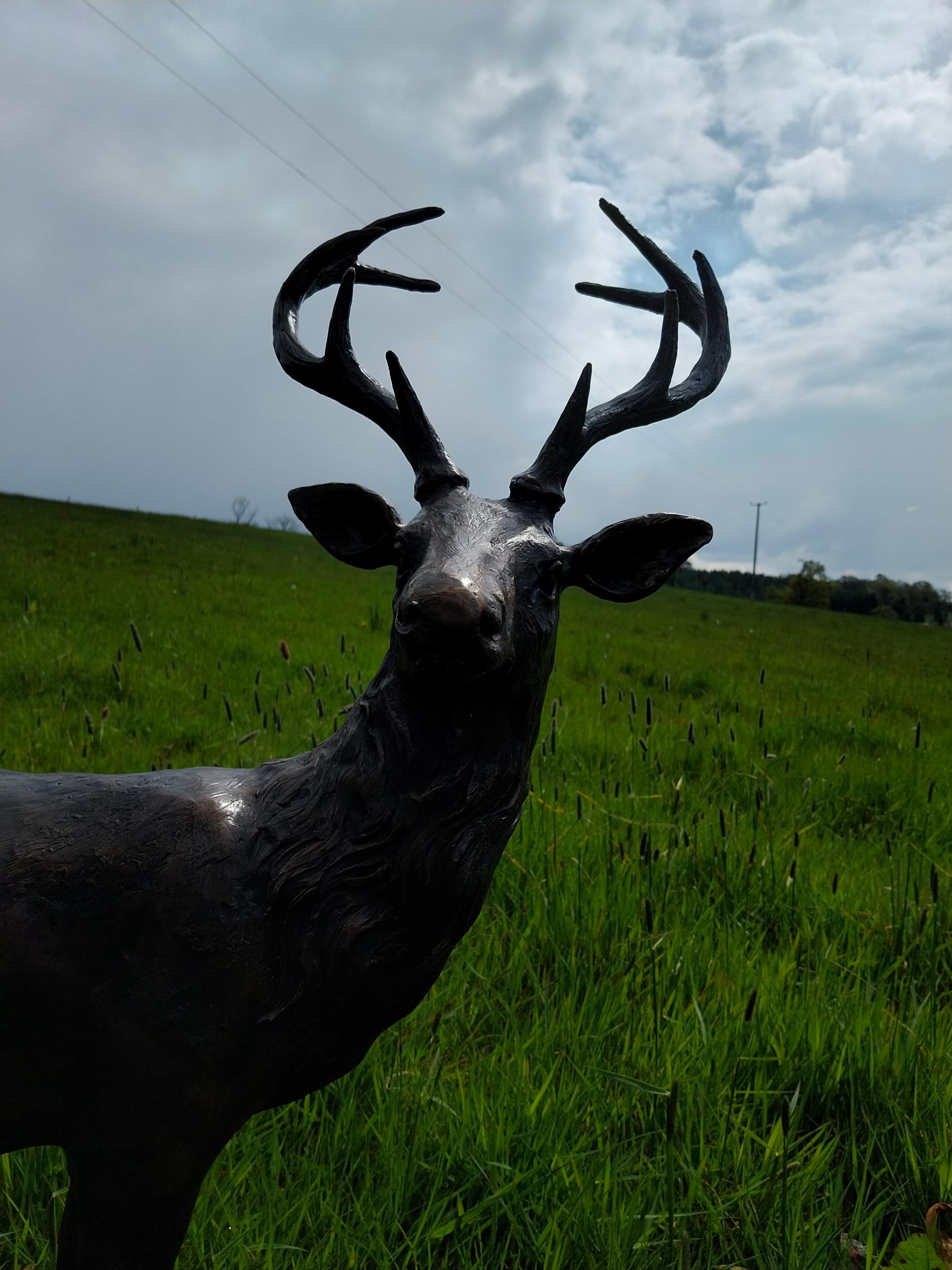 Exceptional quality statue of Stag on craggy rock {92 cm H x 78 cm W x 37 cm D}. - Bild 6 aus 9