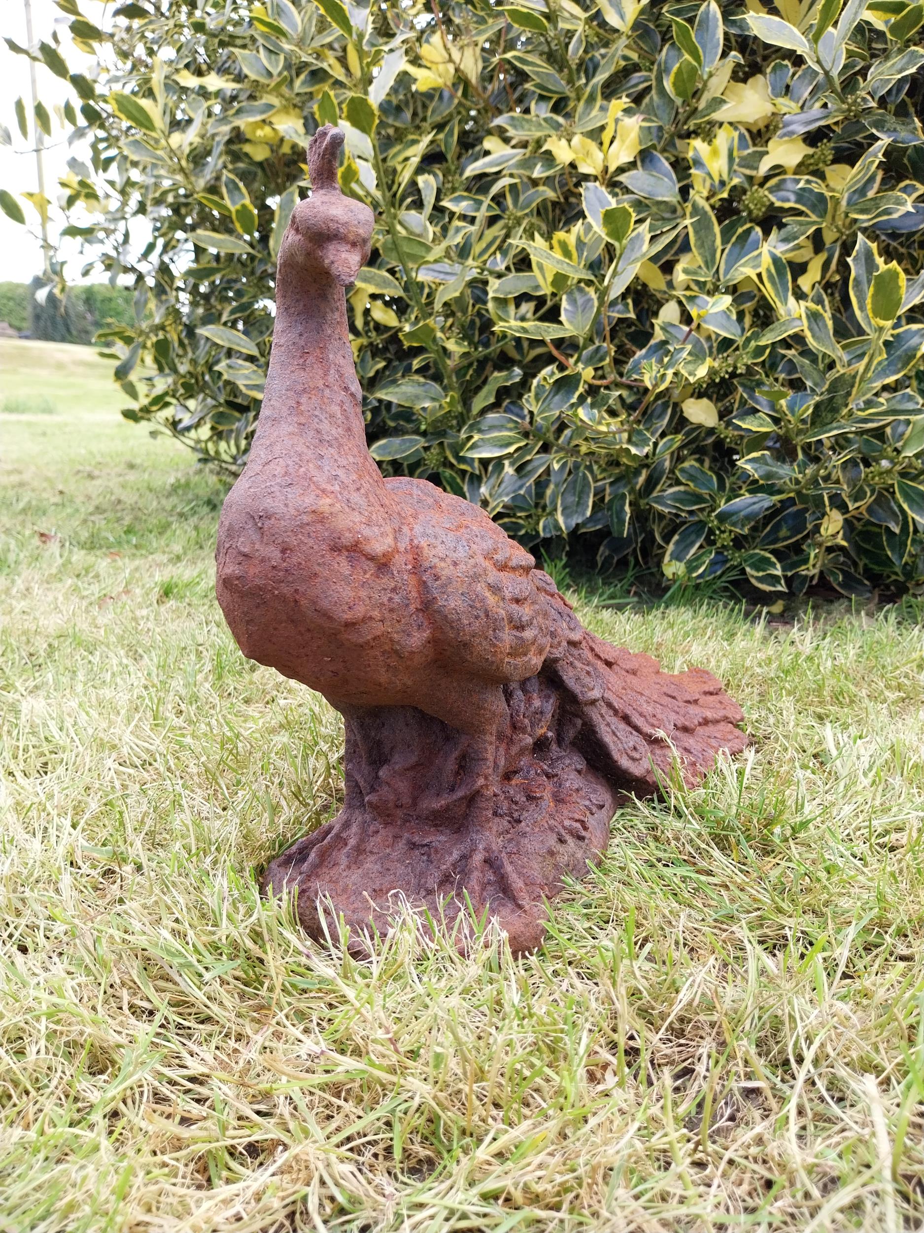 Pair of cast iron statuette of Peacocks {34 cm H x 21 cm W x 42 cm D}. - Bild 5 aus 6