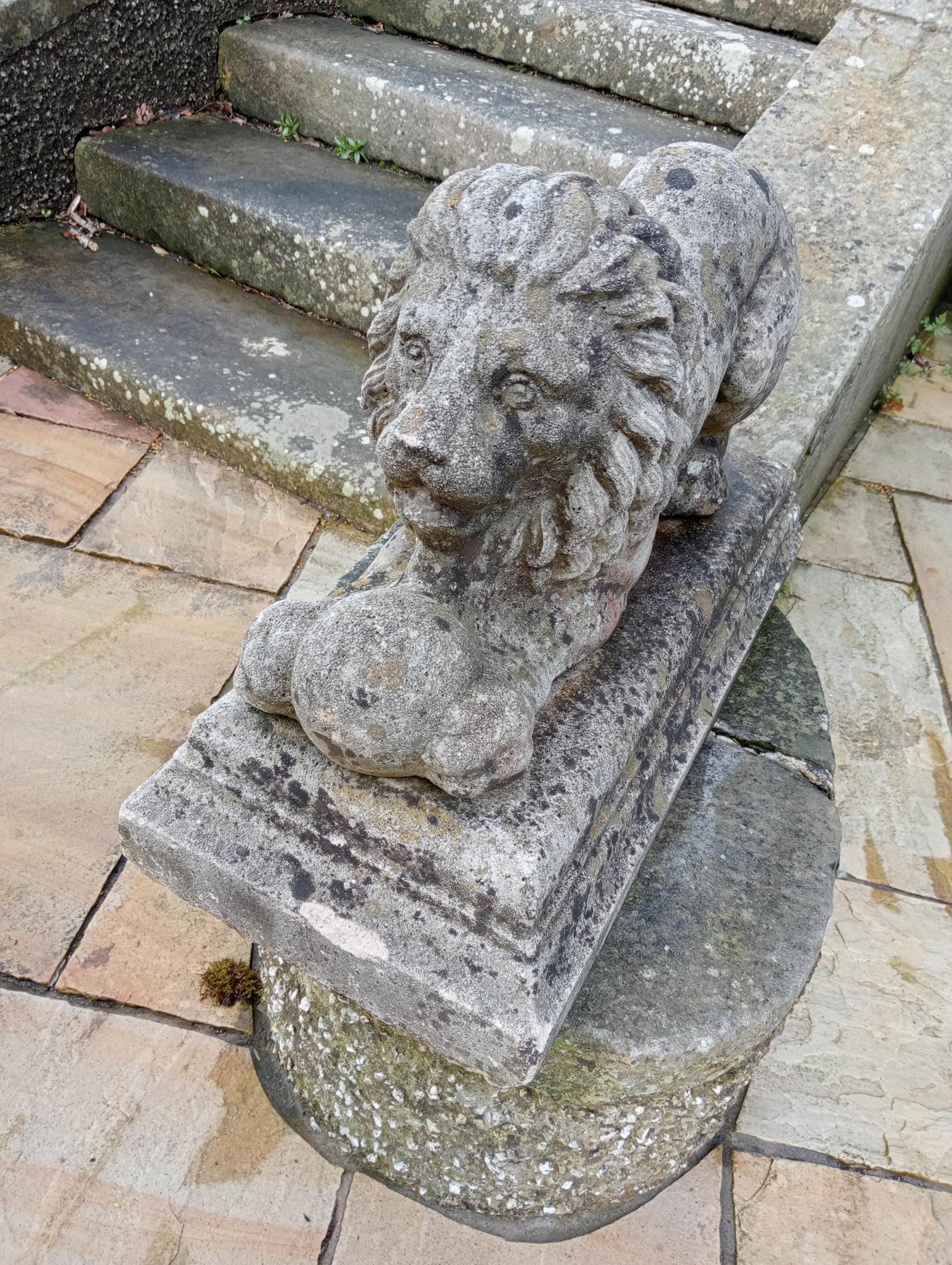 Pair of stone lions with balls at feet {H 45cm x W 28cm x D 66cm}. (NOT AVAILABLE TO VIEW IN - Bild 4 aus 5