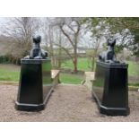 Pair of cast iron statues of Dogs raised on plinths {H 163cm x W 64cm x D 145cm Dogs H 66cm x W 46cm