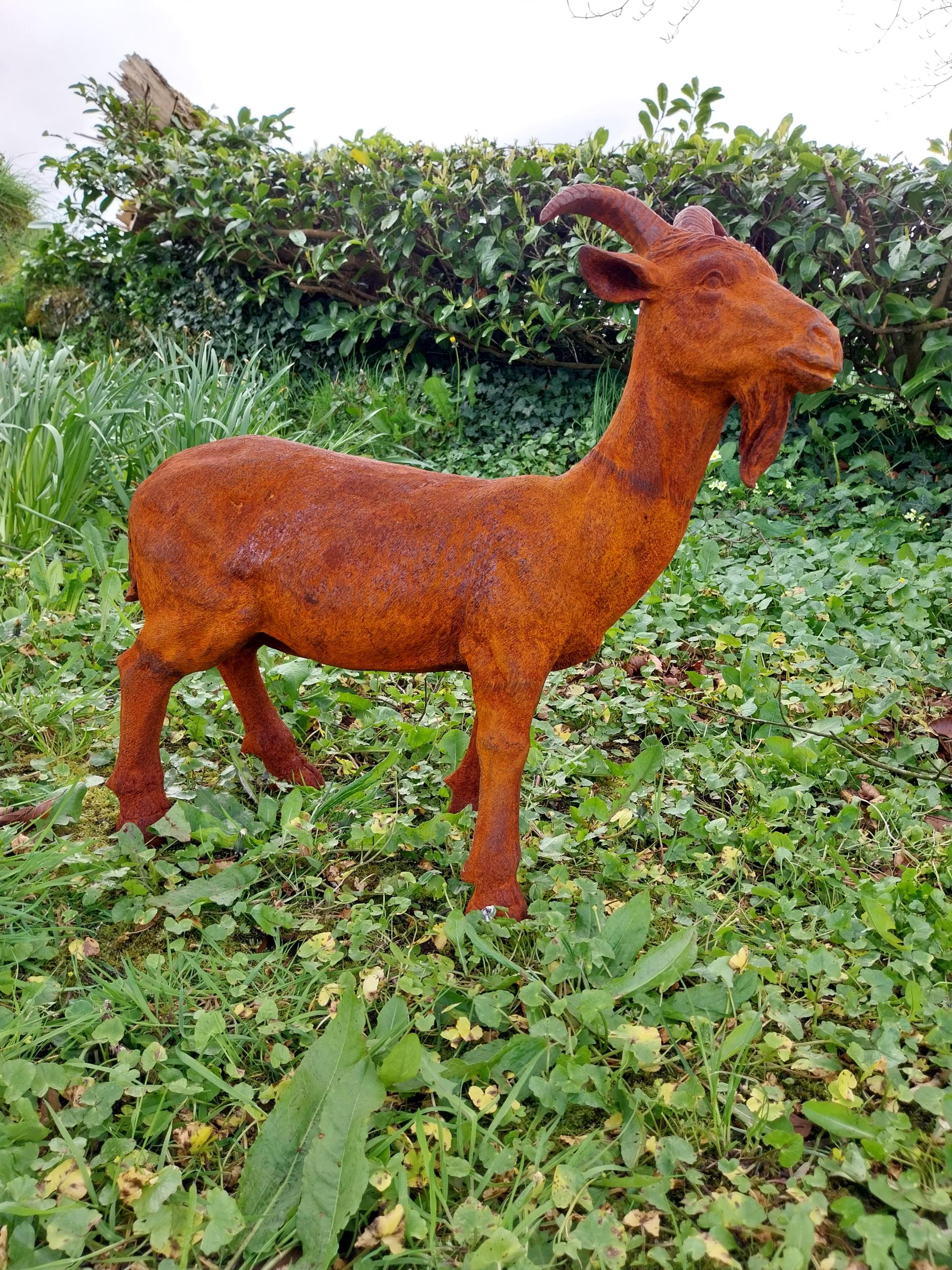 Good quality cast iron statue of a Goat {60 cm H x 55 cm W x 20 cm D}.