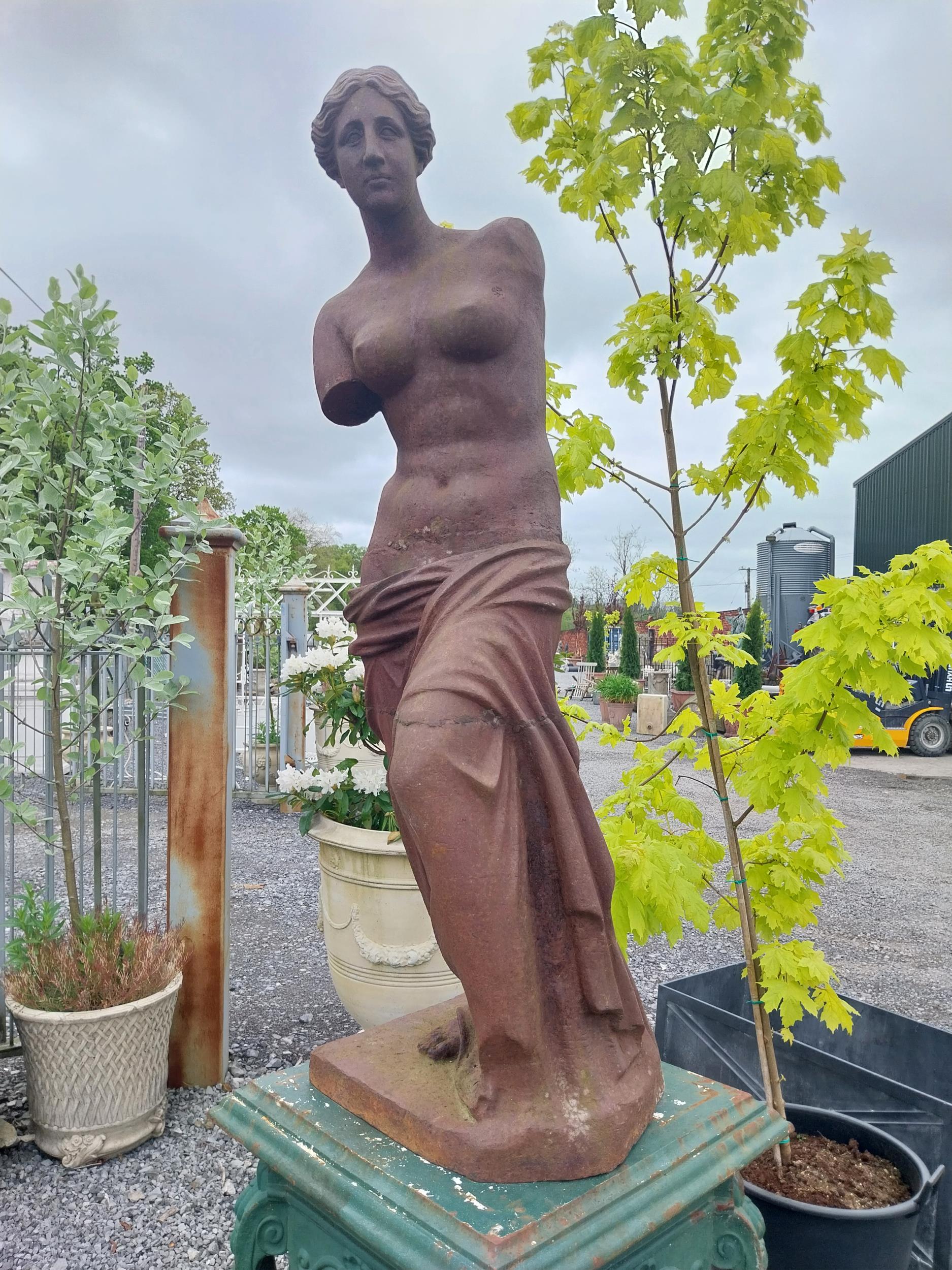 Good quality cast iron statue of Venus de Milo {150 cm H x 48 cm W x 48 cm D}. - Image 2 of 17