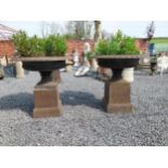 Pair of good quality cast iron urns raised on pedestals in the Georgian style {92 cm H x 100 cm