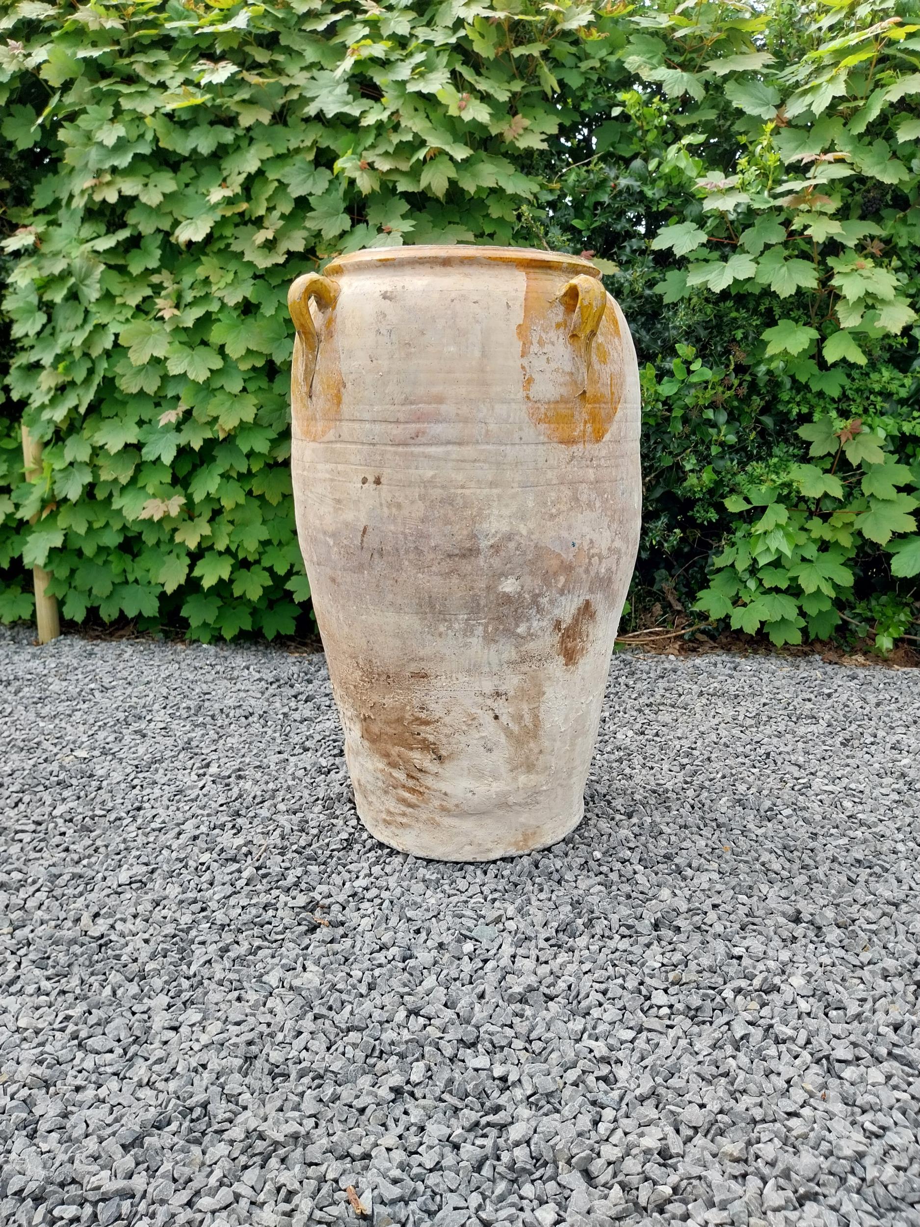 Rare 19th C. Spanish terracotta olive pot {80 cm H x 53 cm Dia.}. - Image 6 of 11