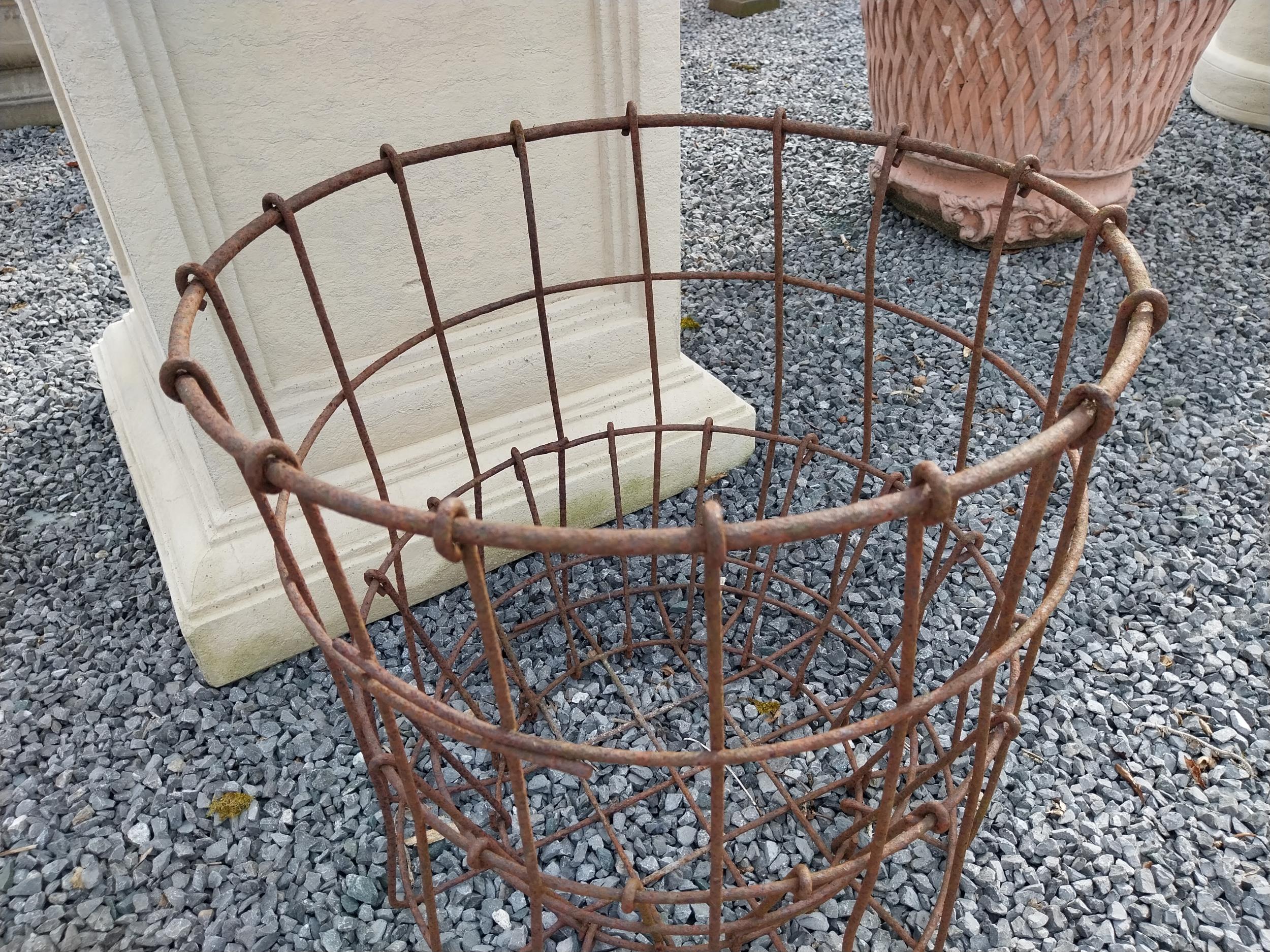 Early 20th C. wrought iron planter {52 cm H x 55 cm Dia.}. - Image 2 of 2