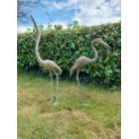 Two bronze statues of Storks {120 cm H x 18 cm W x 53 cm D and 89 cm H x 18 cm W x 56 cm D}.