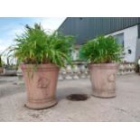 Pair of moulded terracotta planters decorated with rosettes {51 cm H x 50 cm Dia.}.