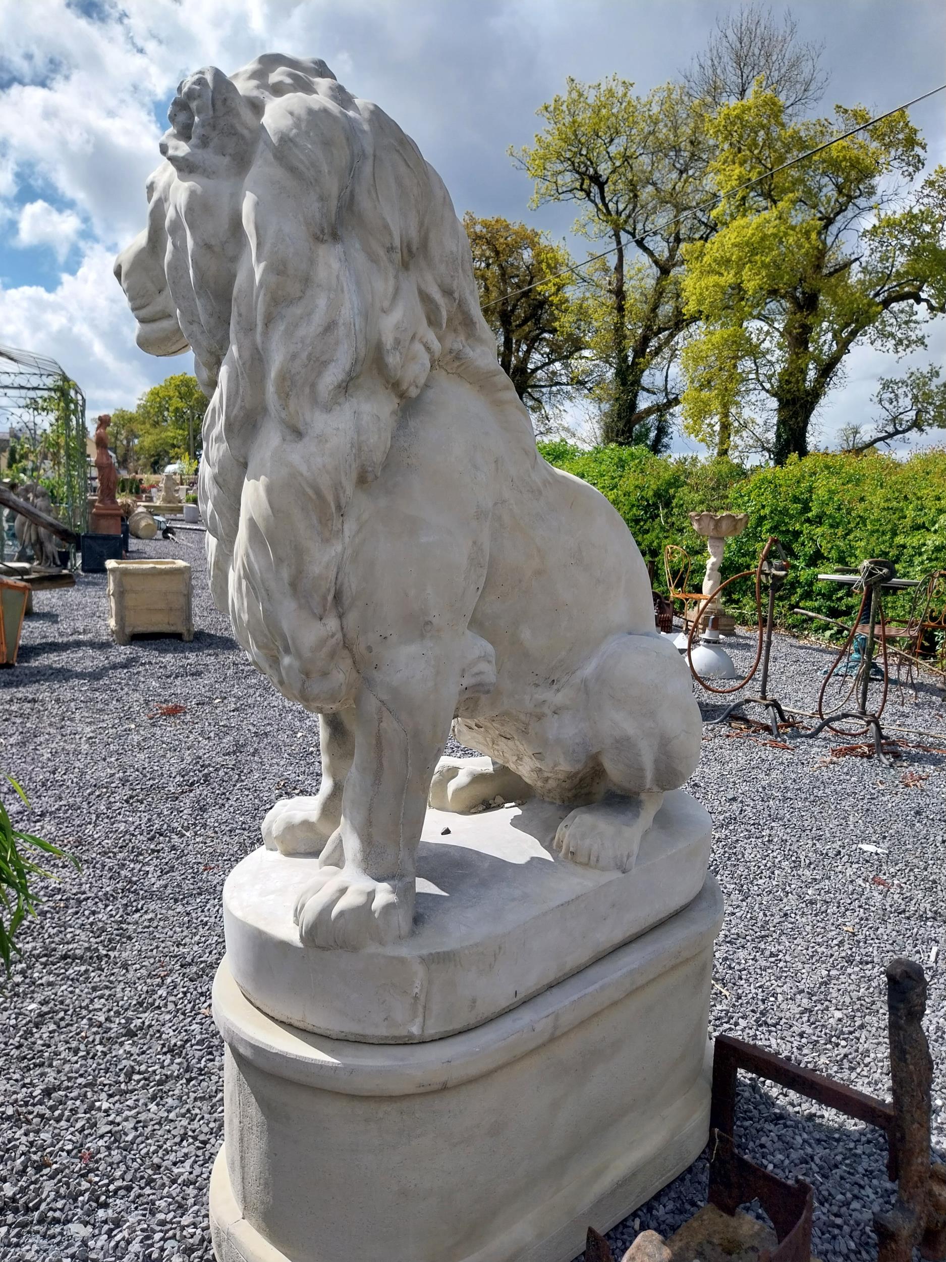 Pair of good quality moulded stone statues of seated Lions raised on pedestals {185 cm H x 123 cm - Image 11 of 16