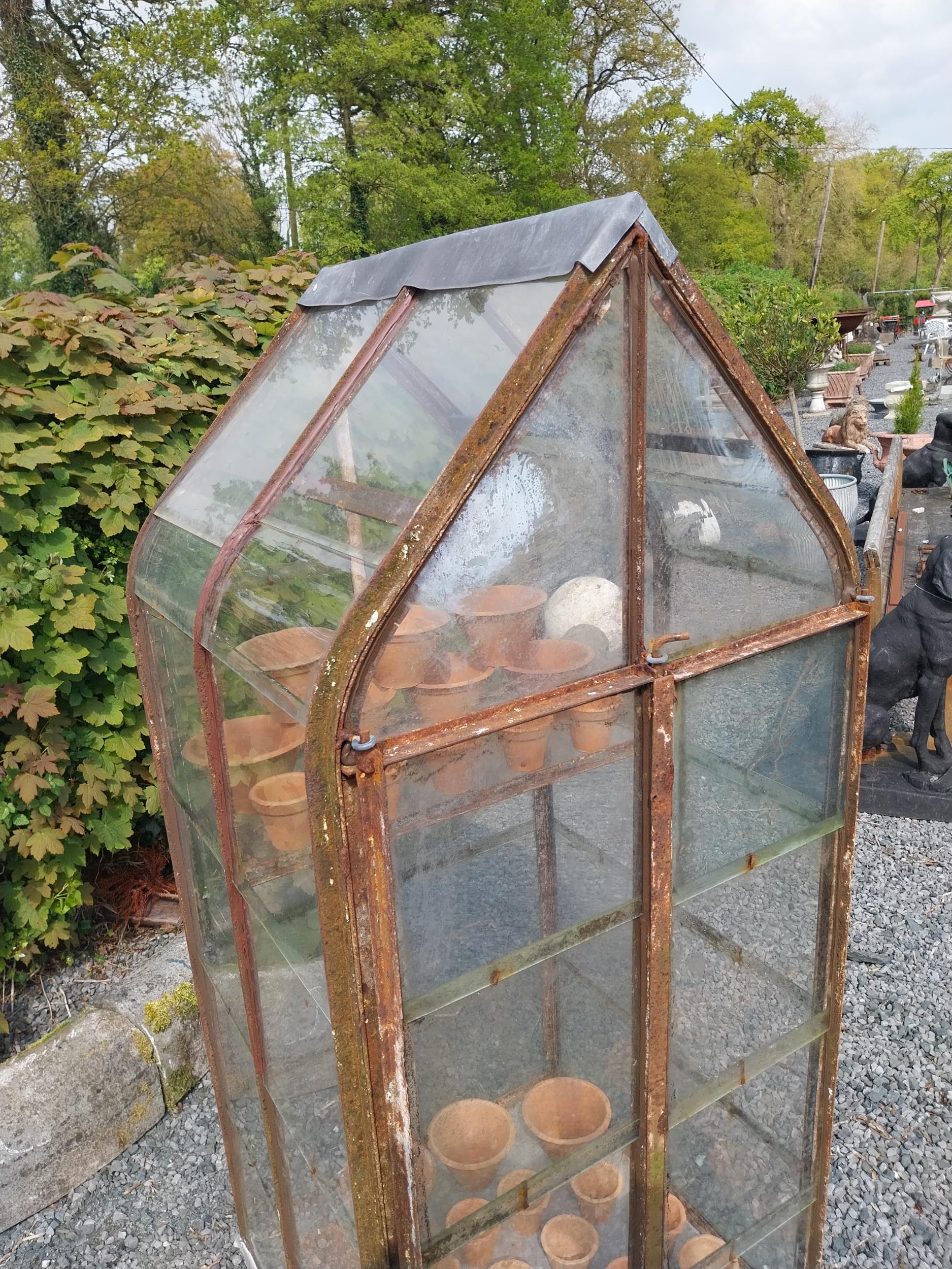 Early 20th C. French wrought iron greenhouse {174 cm H x 70 cm W x 74 cm D}. - Image 3 of 5