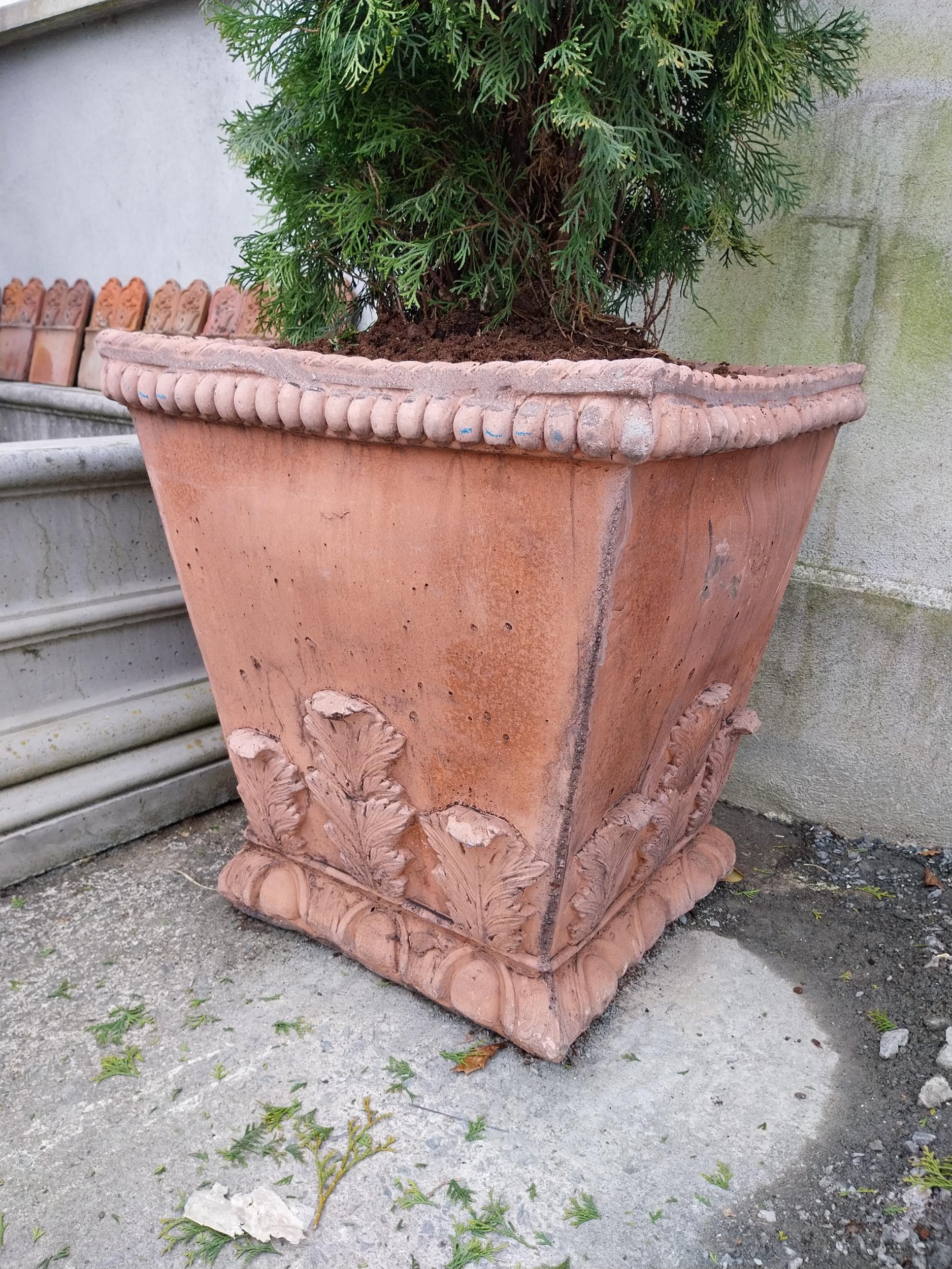 Pair of moulded terracotta urns decorated with acanthus leaf {62 cm H x 58 cm W x 58 cm D}. - Image 4 of 4