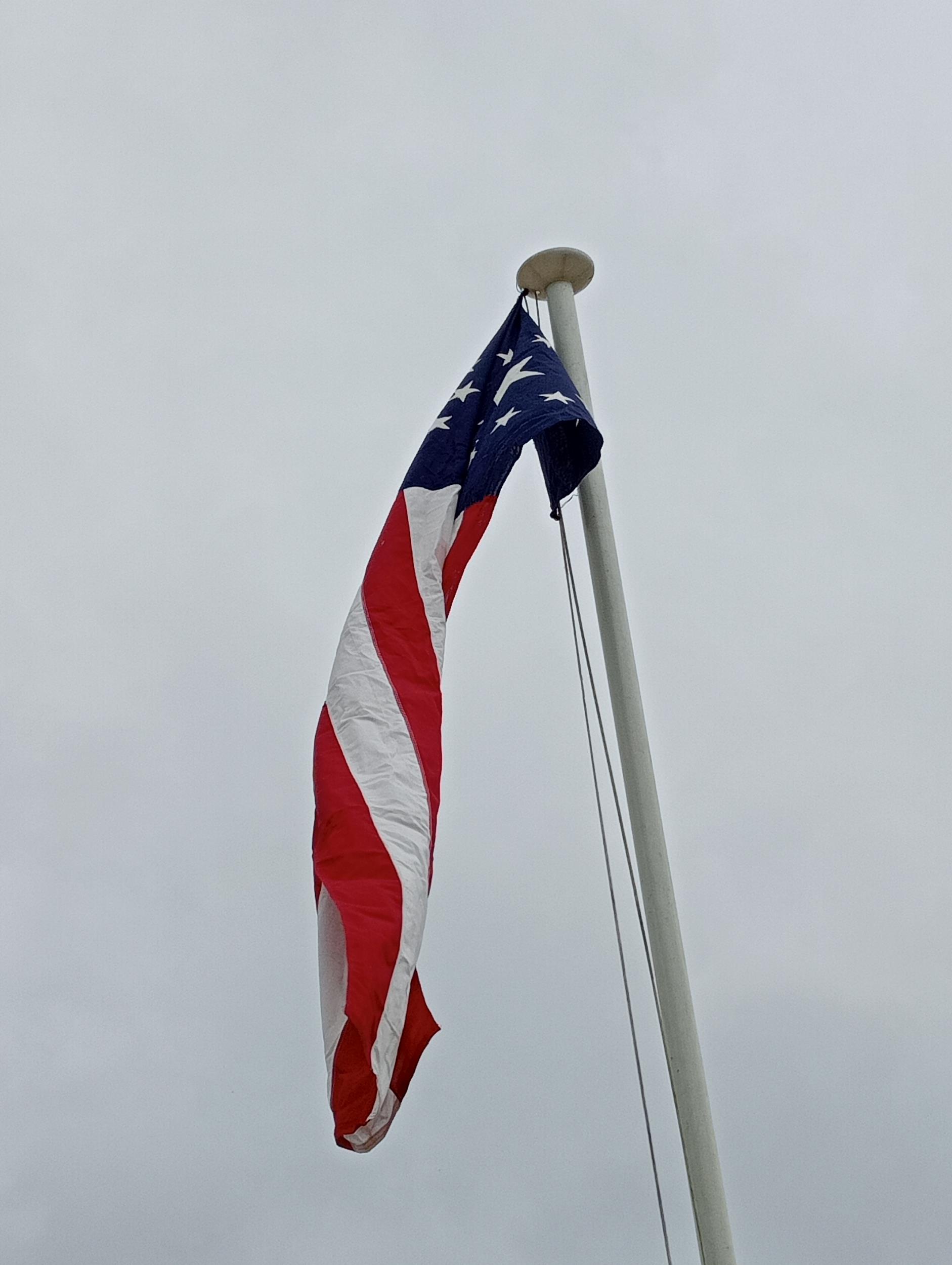Flagpole with confederate flag {6 metres}. (NOT AVAILABLE TO VIEW IN PERSON) - Image 2 of 4