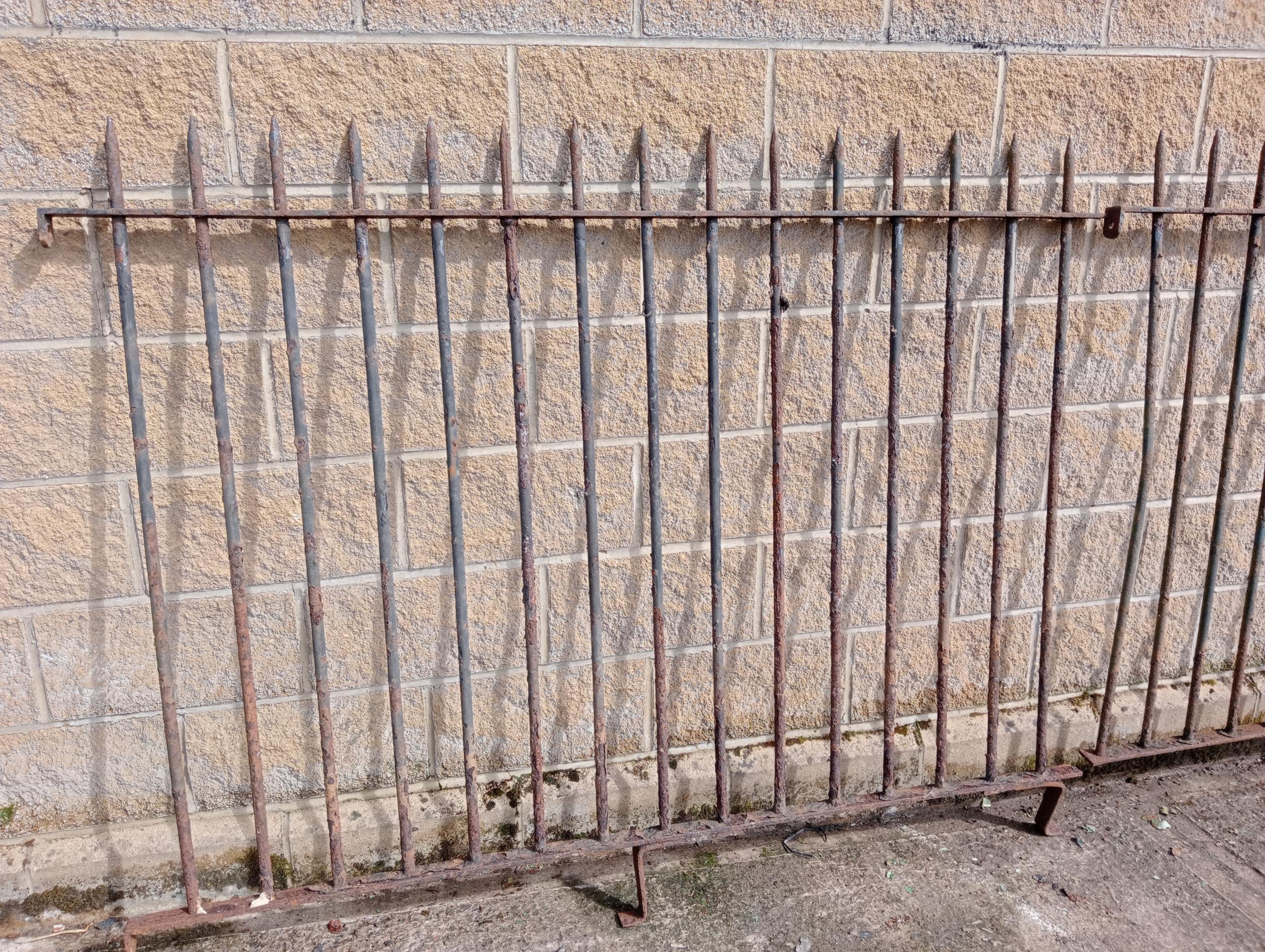 Forged iron gate railings with pointed finials {H 150cm x W 18 metres }. (NOT AVAILABLE TO VIEW IN - Image 2 of 2