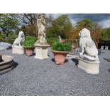 Pair of good quality moulded stone statues of seated Lions raised on pedestals {185 cm H x 123 cm