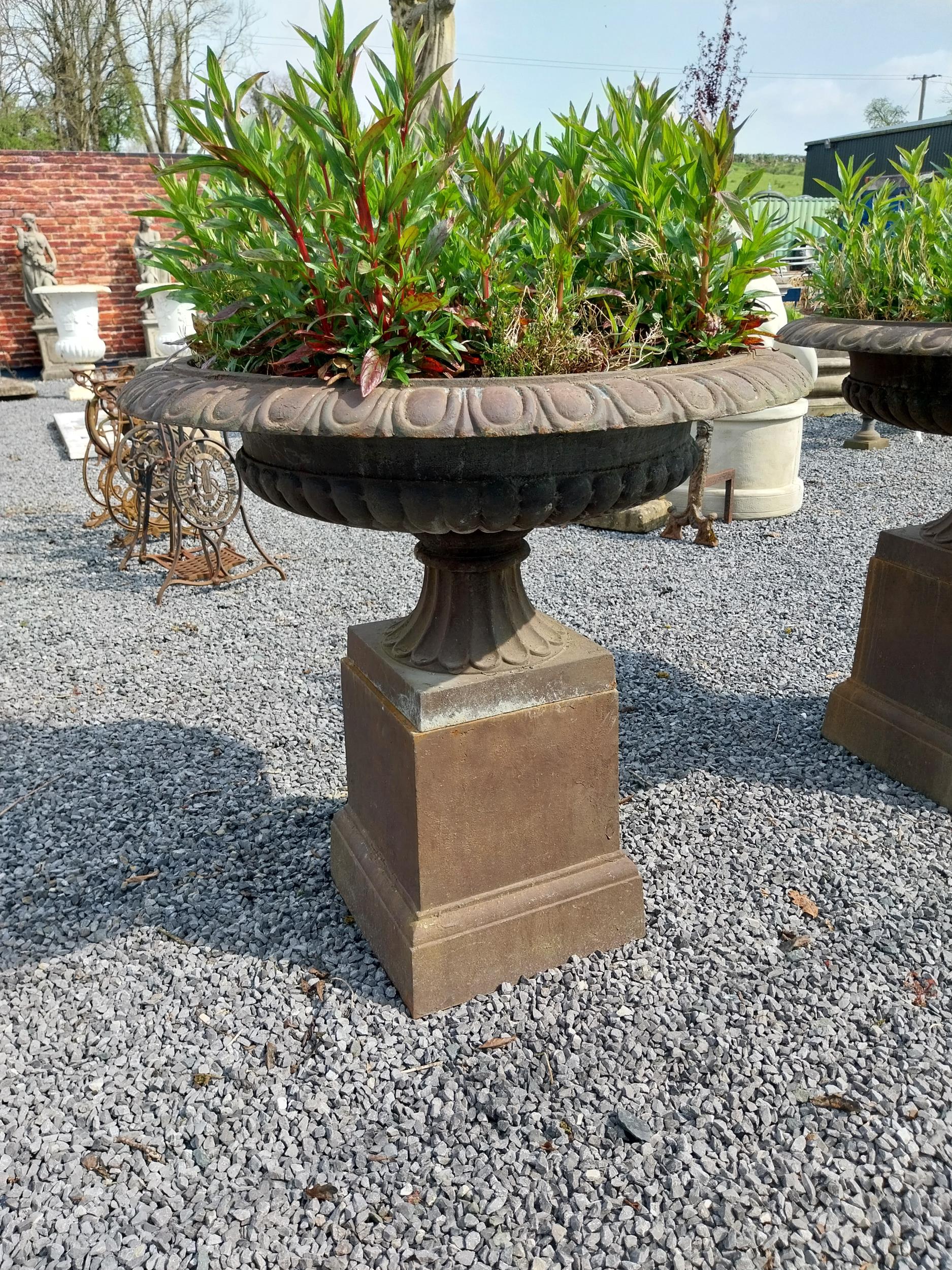 Pair of good quality cast iron urns raised on pedestals in the Georgian style {92 cm H x 100 cm - Image 2 of 6