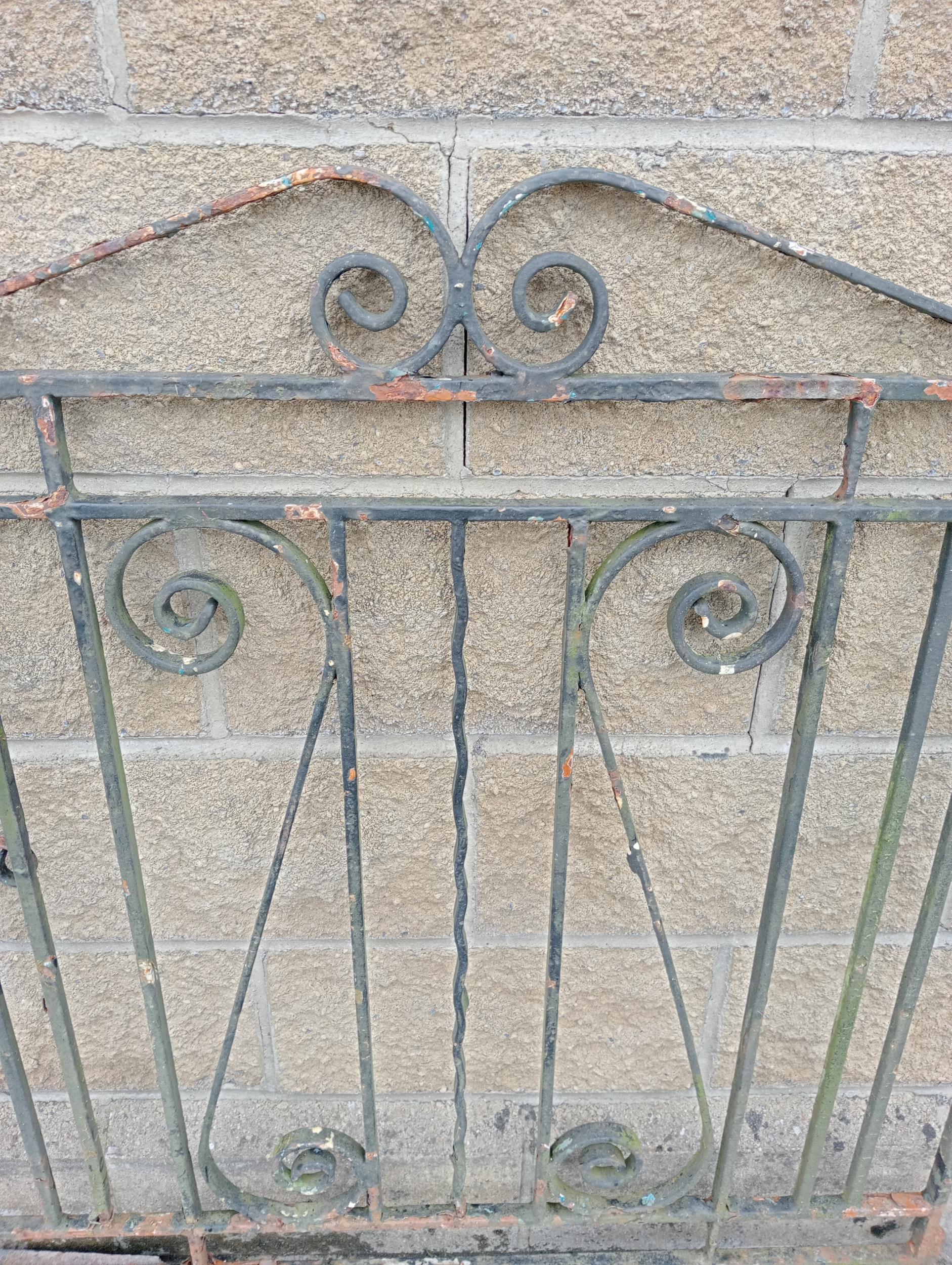 Wrought iron garden gate with scroll design {H 110cm x W 102}. (NOT AVAILABLE TO VIEW IN PERSON) - Image 2 of 4