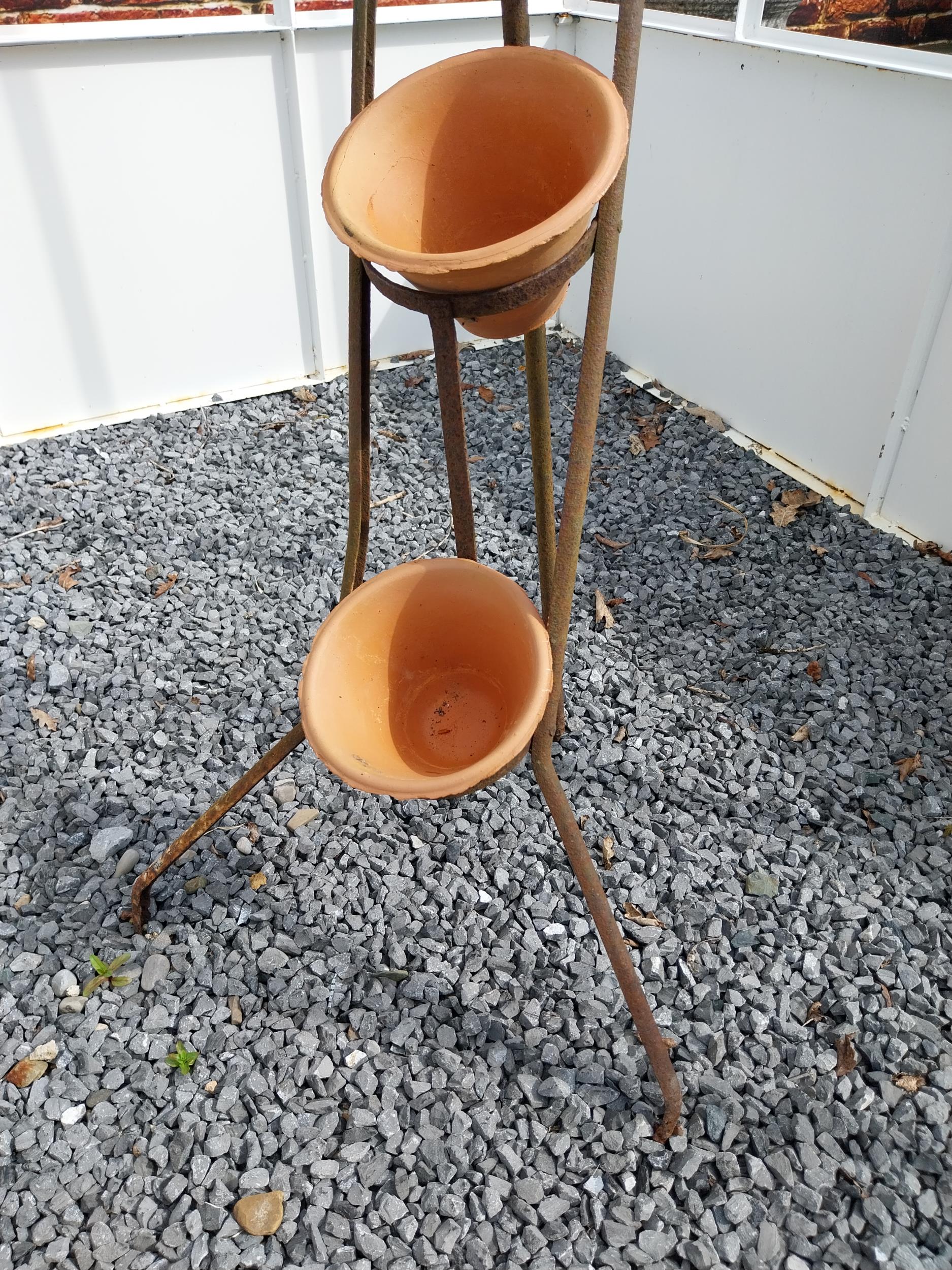 Early 20th C. four tiered wrought iron pot rack with terracotta plant pots {120 cm H x 46 cm W x - Image 2 of 4