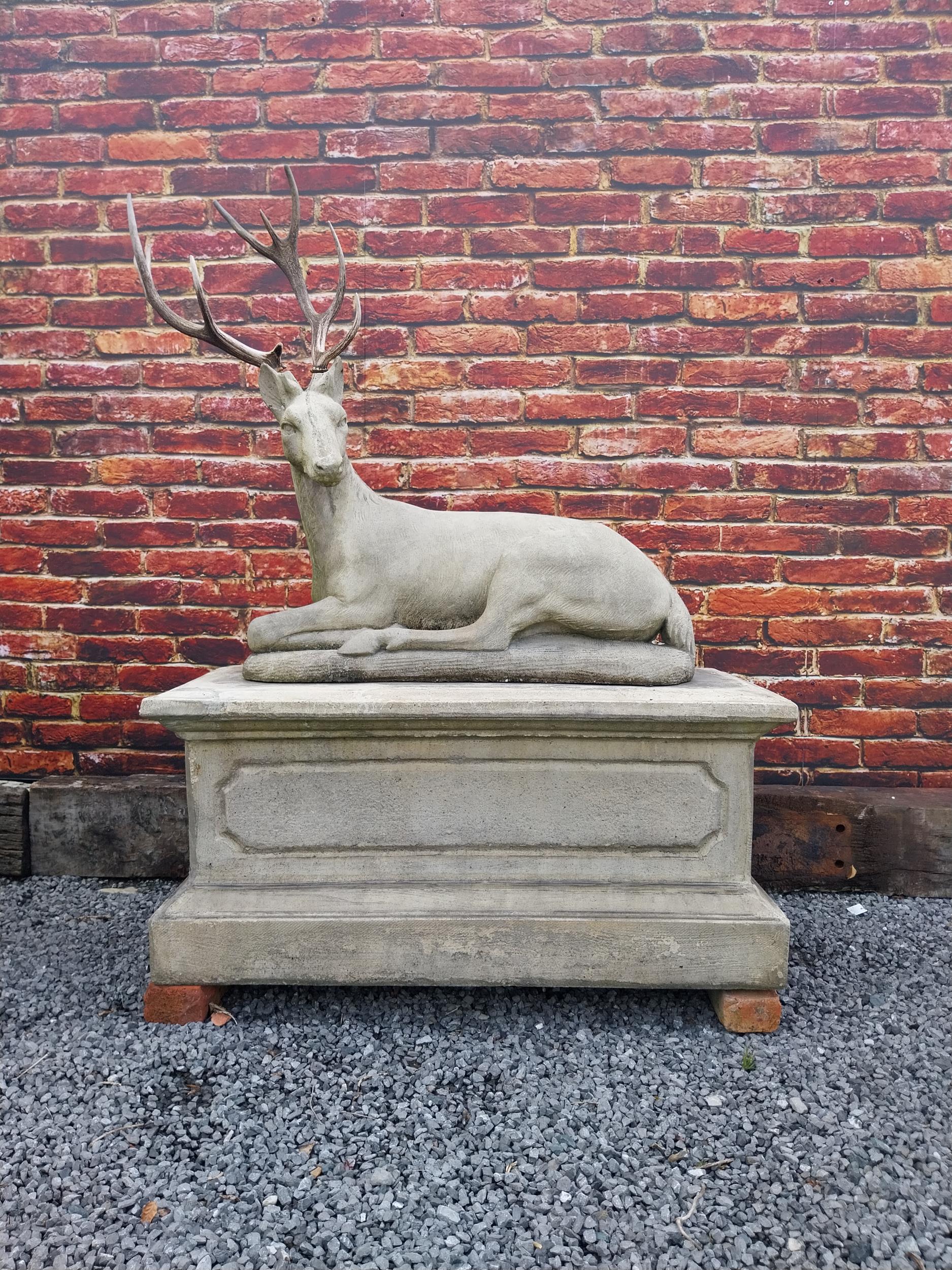 Good quality moulded stone statue of a Stag with real antlers raised on pedestal base {160 cm H x