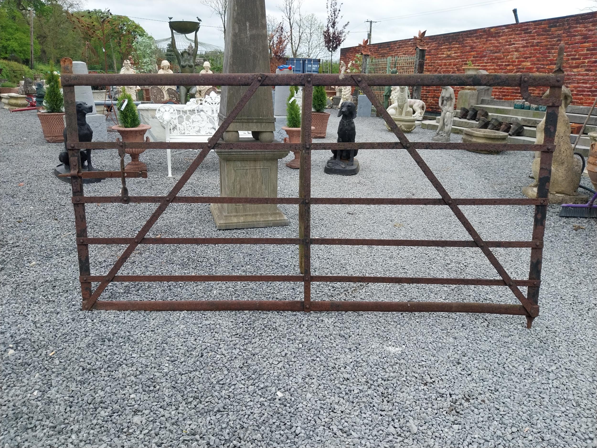 19th C. Irish hand-forged wrought iron field gate {137 cm H x 231 cm W}.