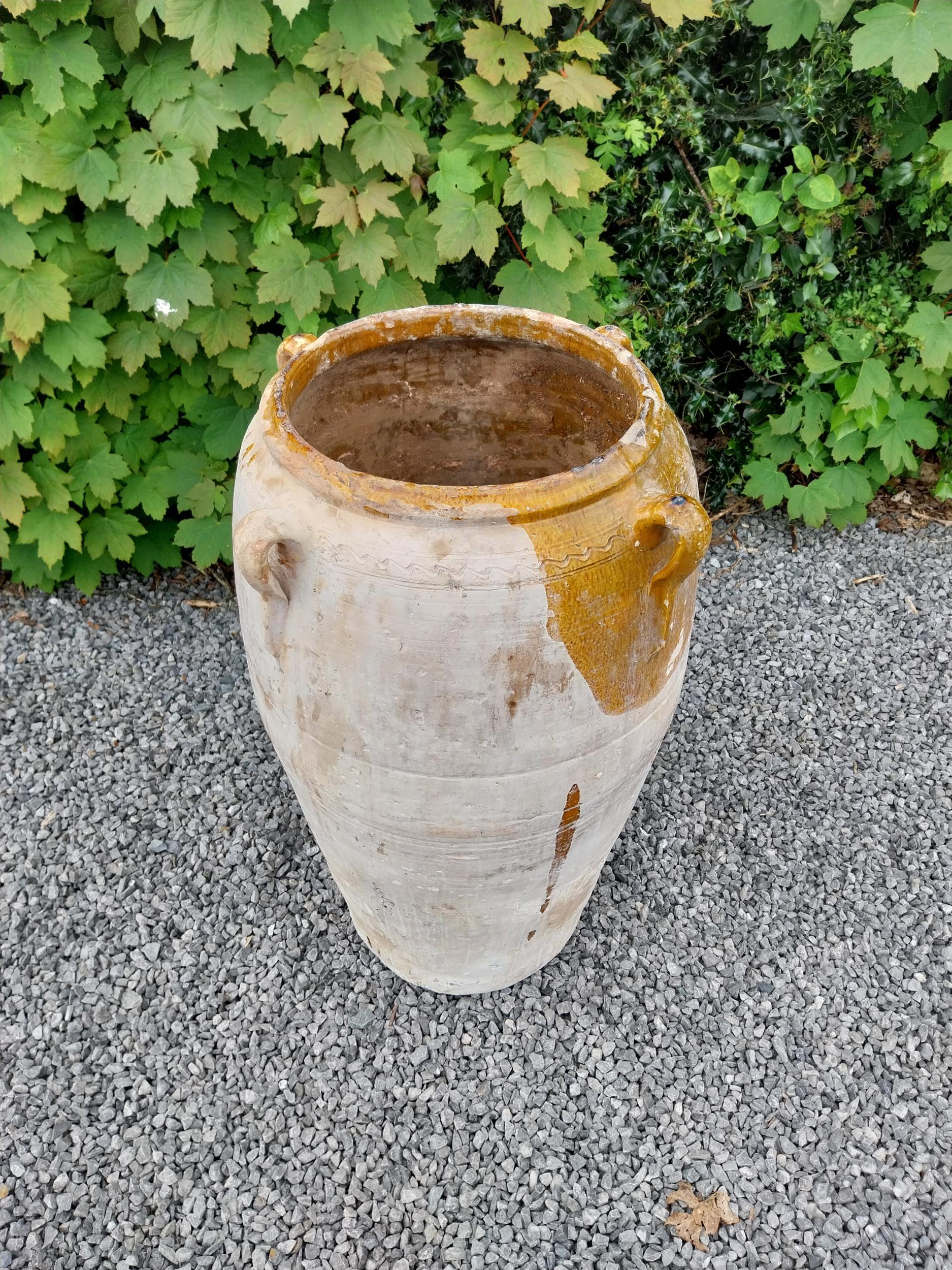 Rare 19th C. Spanish terracotta olive pot {80 cm H x 53 cm Dia.}. - Bild 3 aus 8