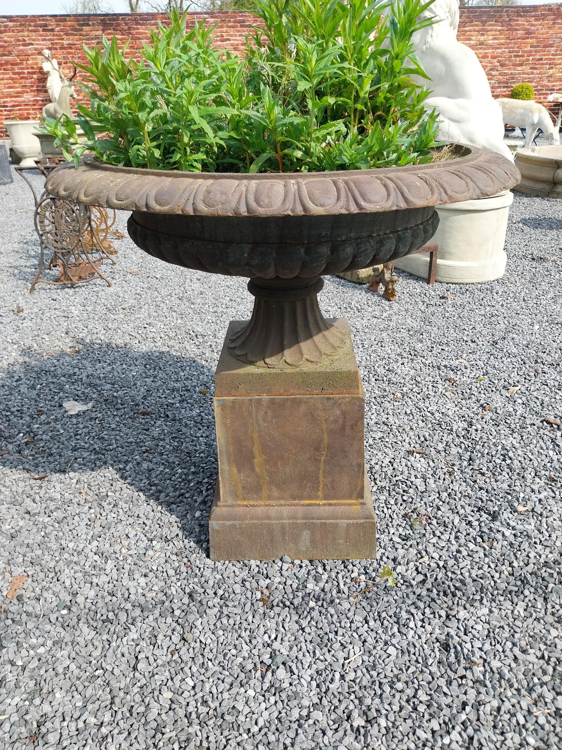 Pair of good quality cast iron urns raised on pedestals in the Georgian style {92 cm H x 100 cm - Image 4 of 6