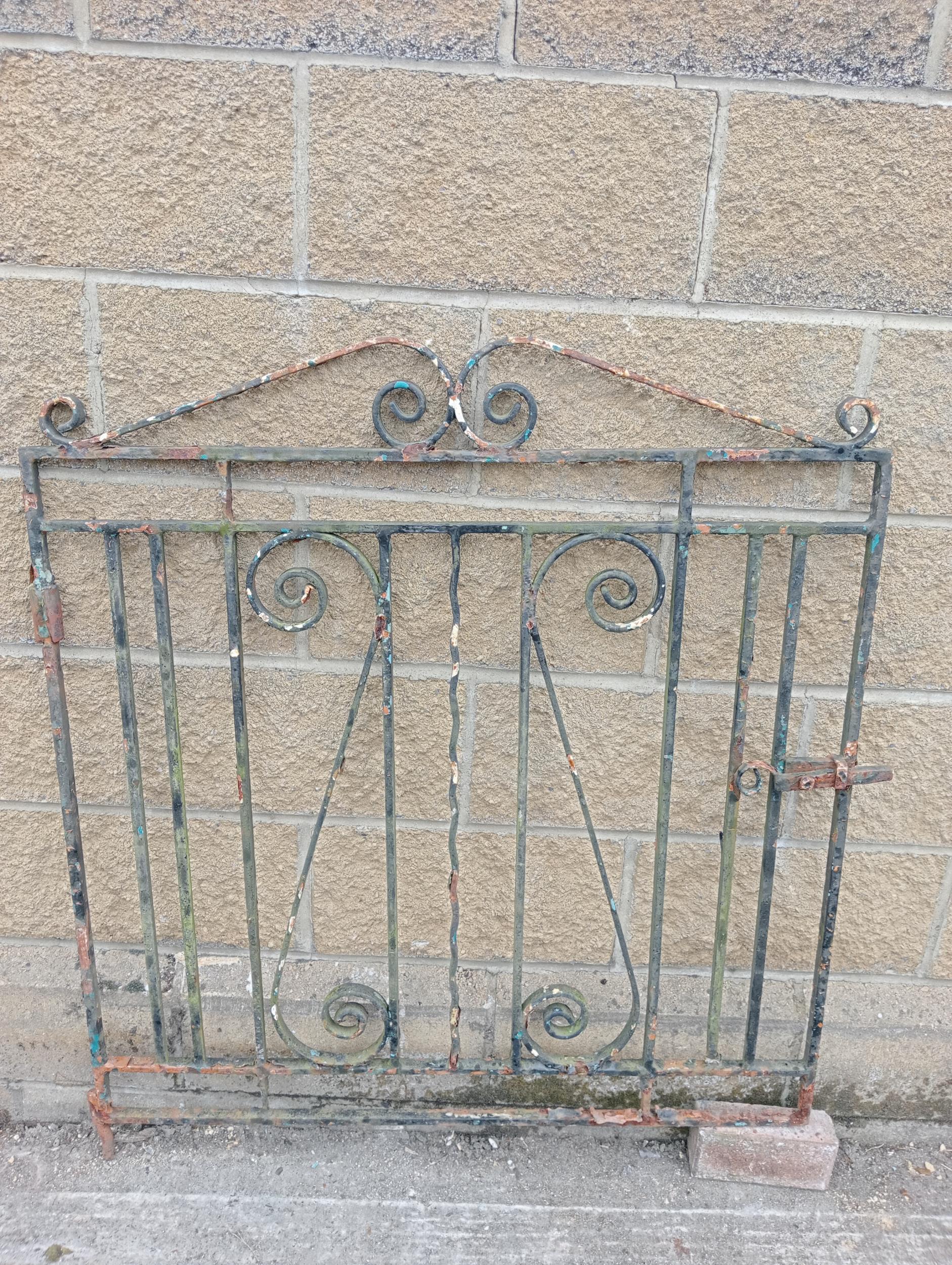 Wrought iron garden gate with scroll design {H 110cm x W 102}. (NOT AVAILABLE TO VIEW IN PERSON) - Image 3 of 4