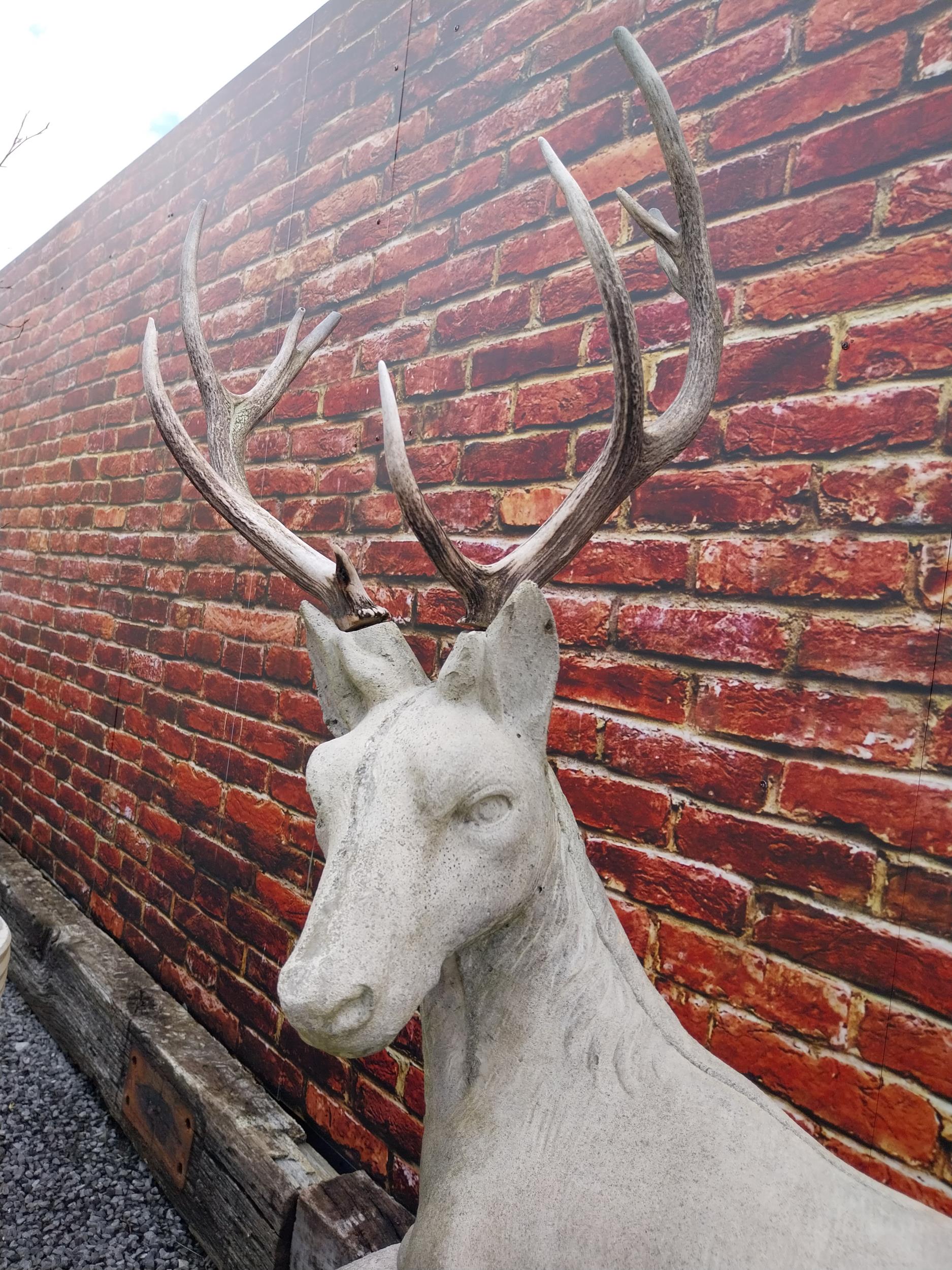 Good quality moulded stone statue of a Stag with real antlers raised on pedestal base {160 cm H x - Image 4 of 9