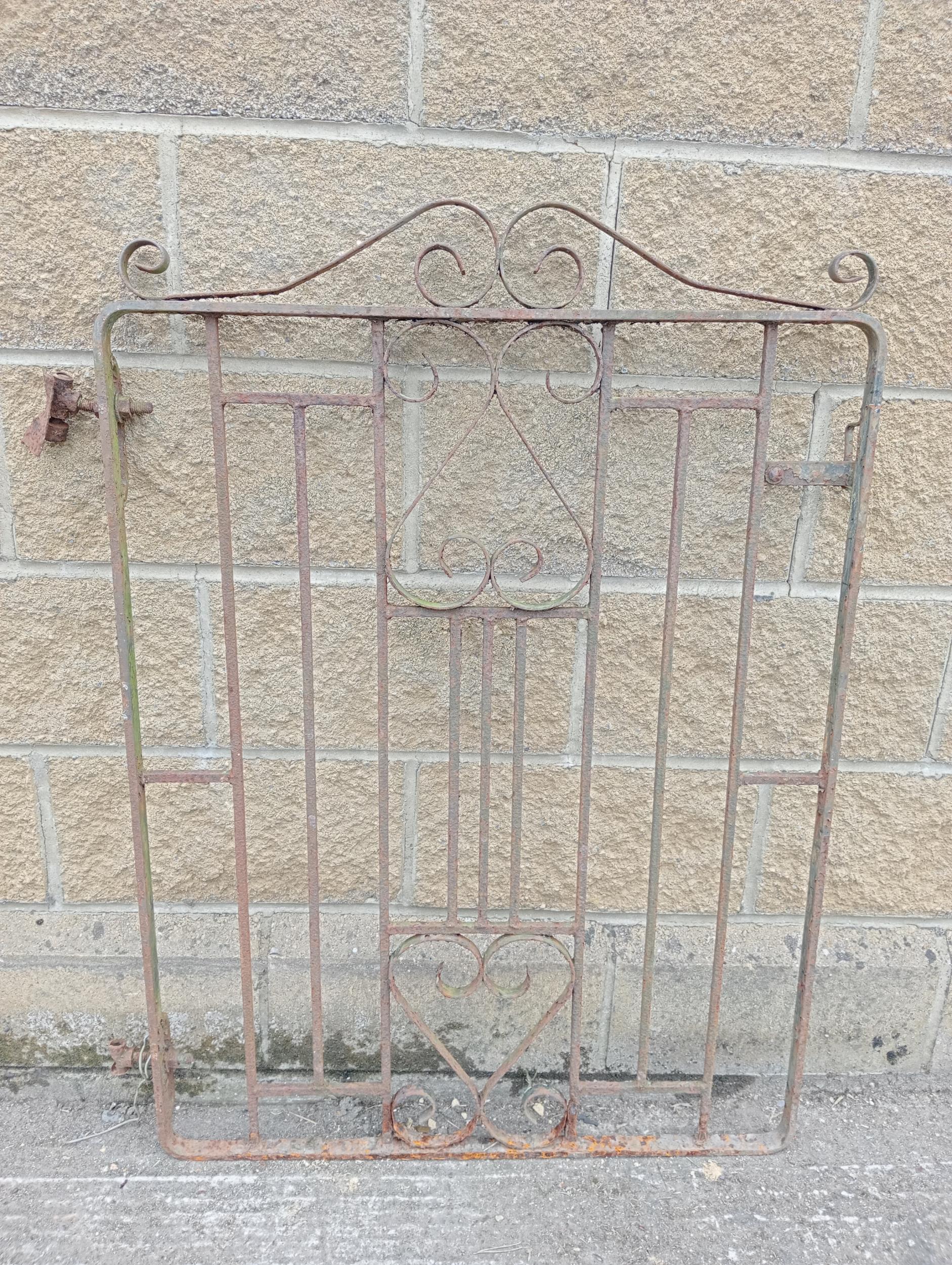 Wrought iron garden gate with scroll design{H 115cm x W 81cm }. (NOT AVAILABLE TO VIEW IN PERSON)