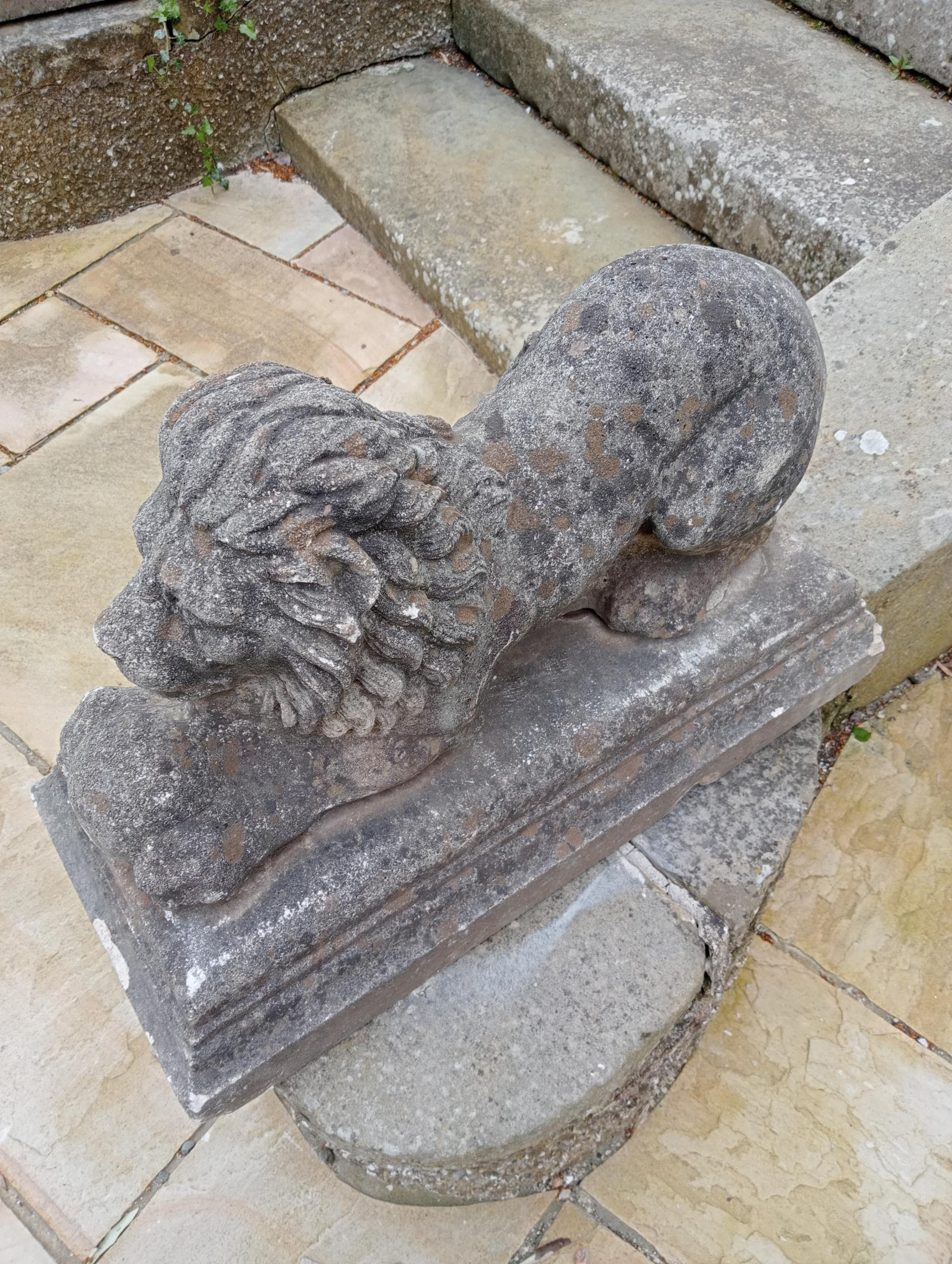 Pair of stone lions with balls at feet {H 45cm x W 28cm x D 66cm}. (NOT AVAILABLE TO VIEW IN - Bild 3 aus 5