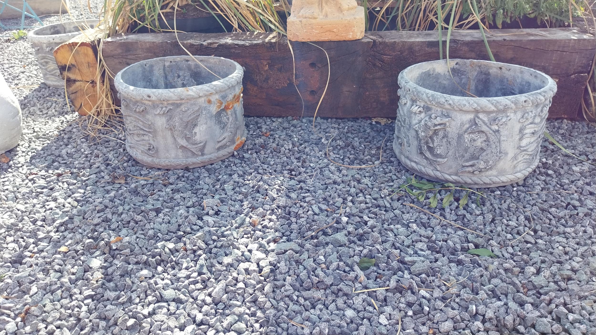 Rare pair of 19th C. lead planters decorated with fish {24 cm H x 36 cm Dia}.