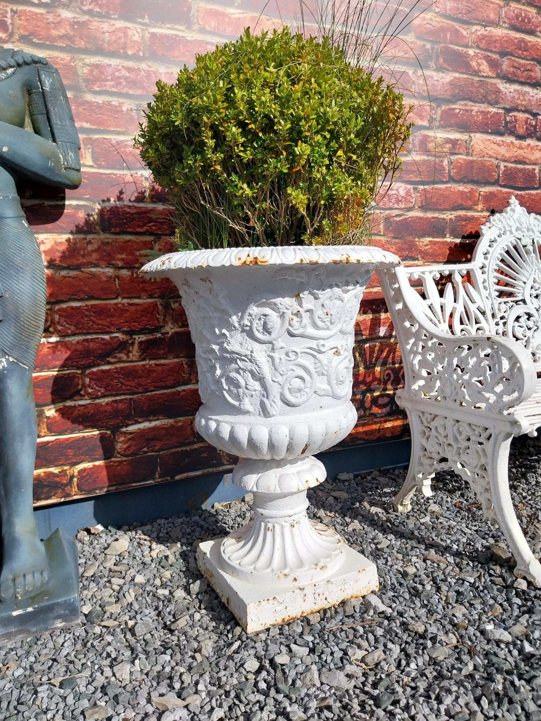 Decorative cast iron urns in the Georgian style {76 cm H x 58 cm Dia.}. - Image 7 of 10