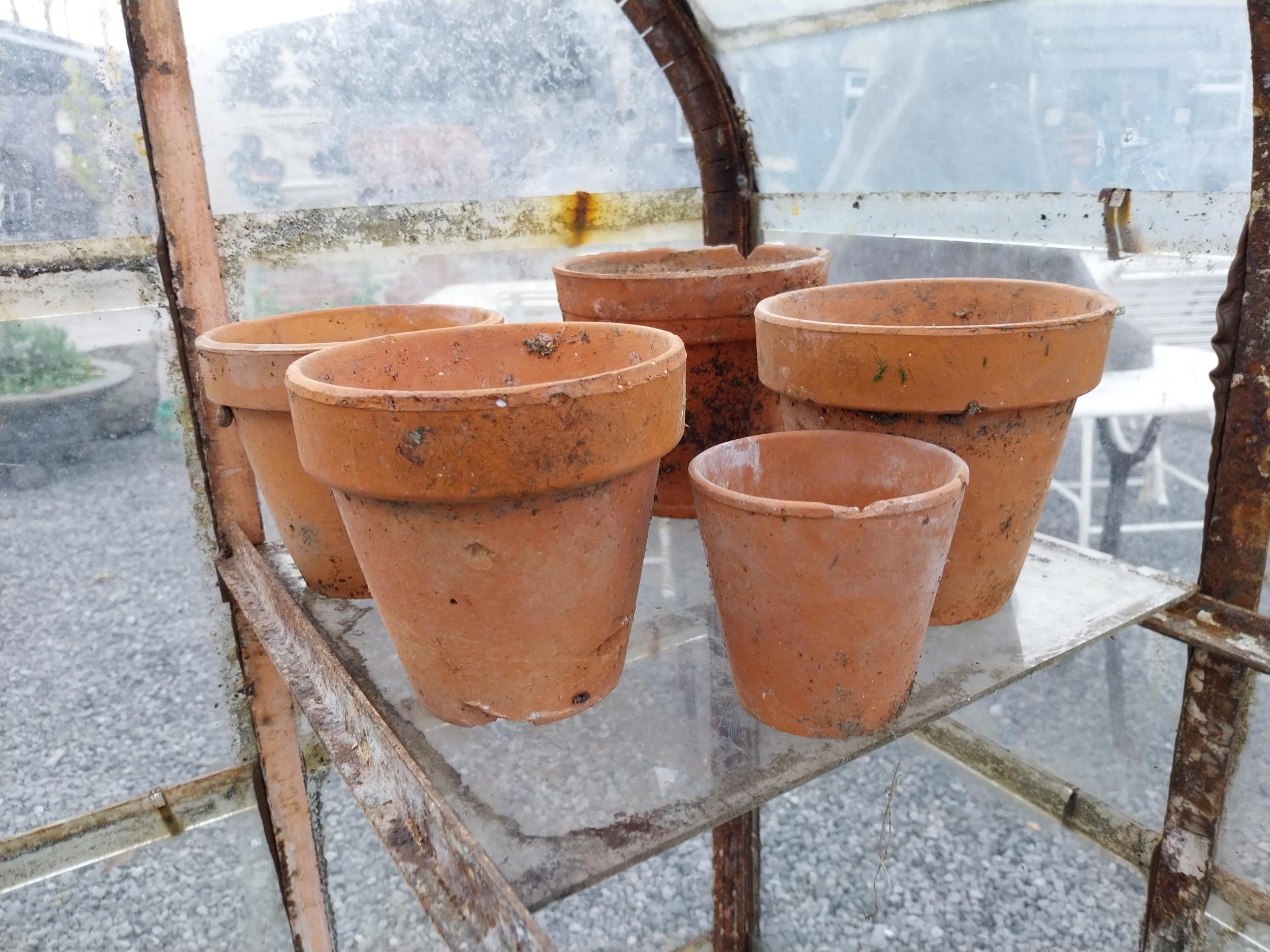 Collection of eighteen 20th C. terracotta plant pots. - Image 3 of 4