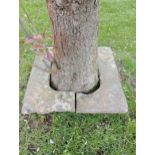 Sandstone tree surround {H 6cm x W 60cm x 58 }. (NOT AVAILABLE TO VIEW IN PERSON)