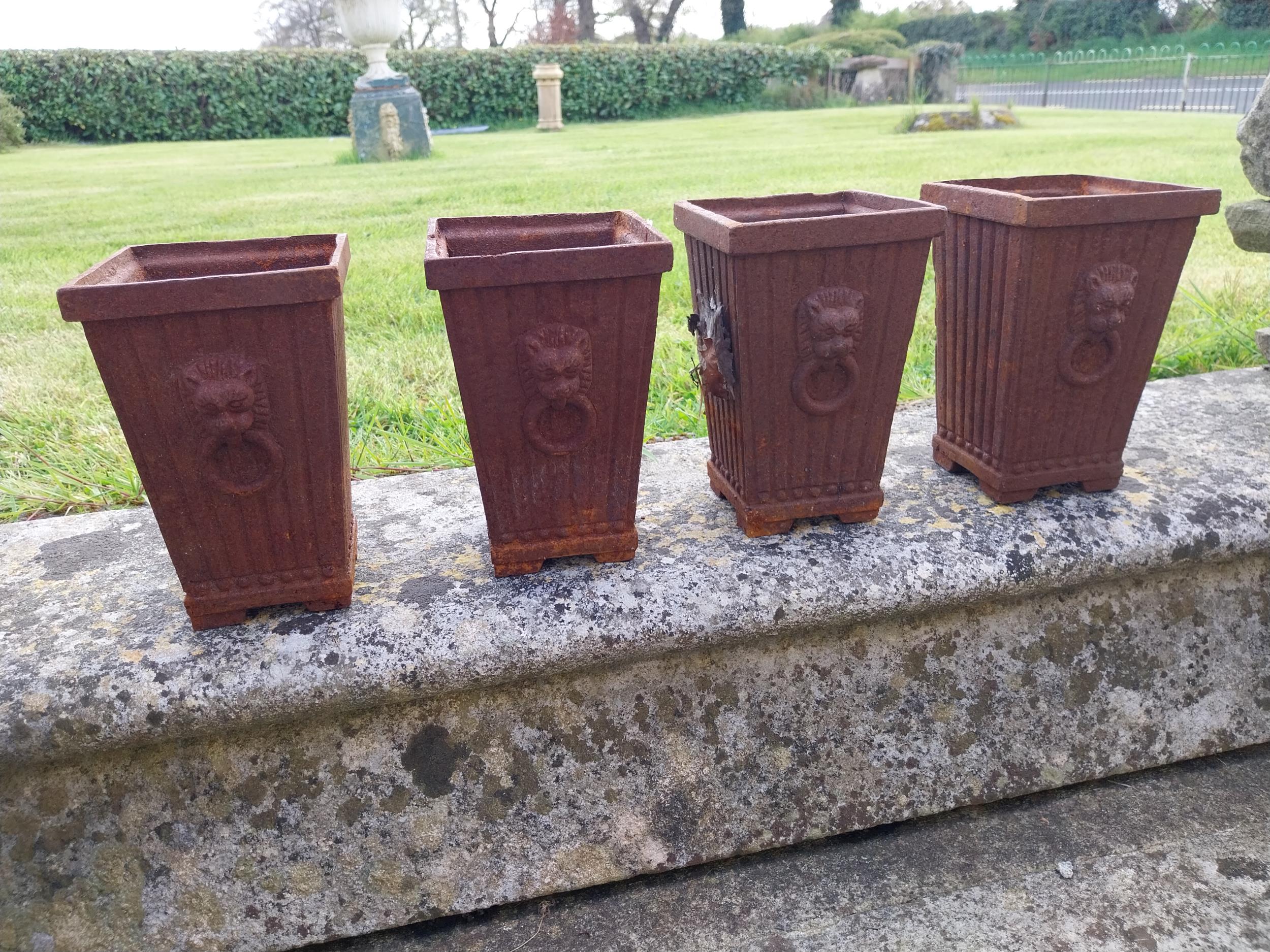 Set of four small cast iron garden planters {20 cm H x 13 cm W x 13 cm D}.