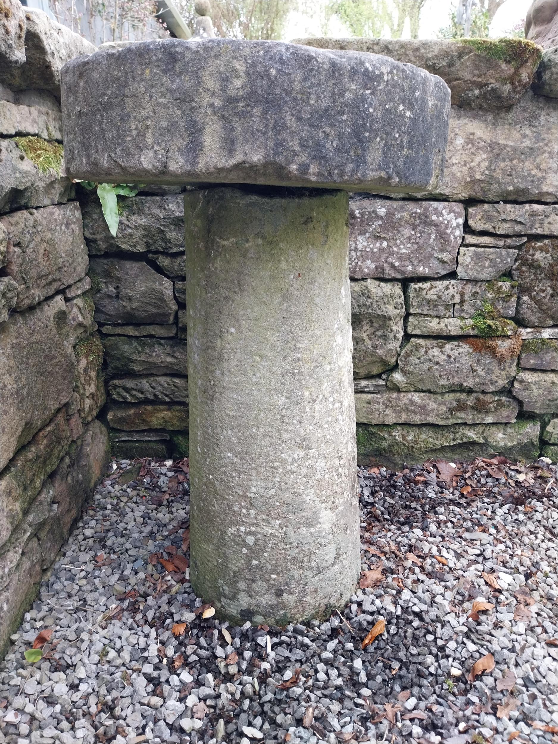 19th C. sandstone staddle stone {77 cm H x 50 cm Dia.}. - Image 3 of 5