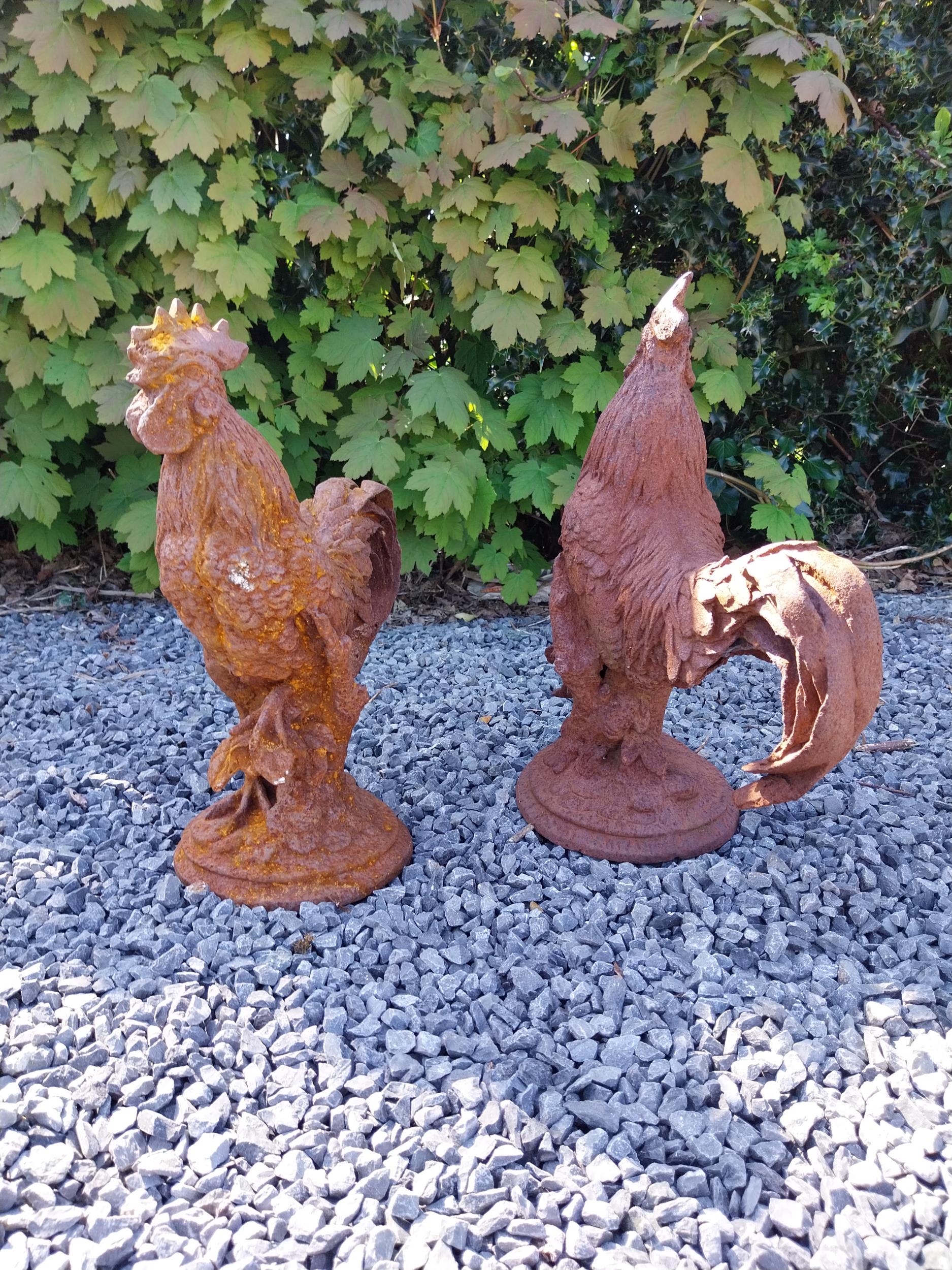 Pair of cast iron statues of Roosters {43 cm H x 36 cm W x 20 cm D}. - Image 3 of 5