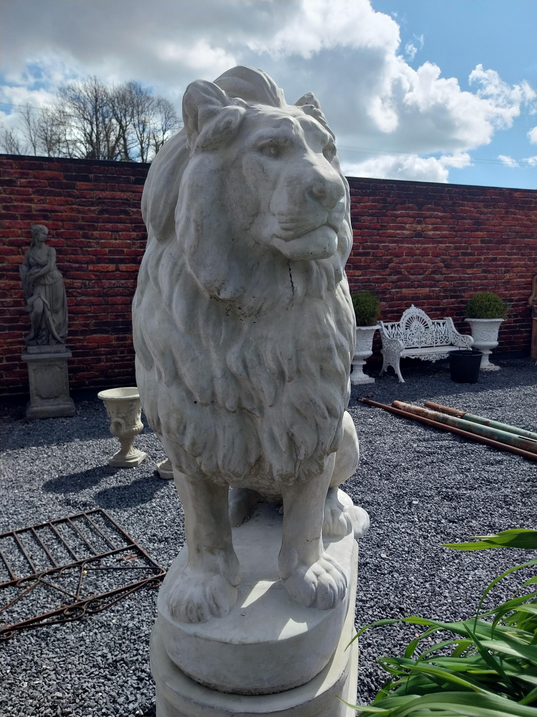 Pair of good quality moulded stone statues of seated Lions raised on pedestals {185 cm H x 123 cm - Image 16 of 16
