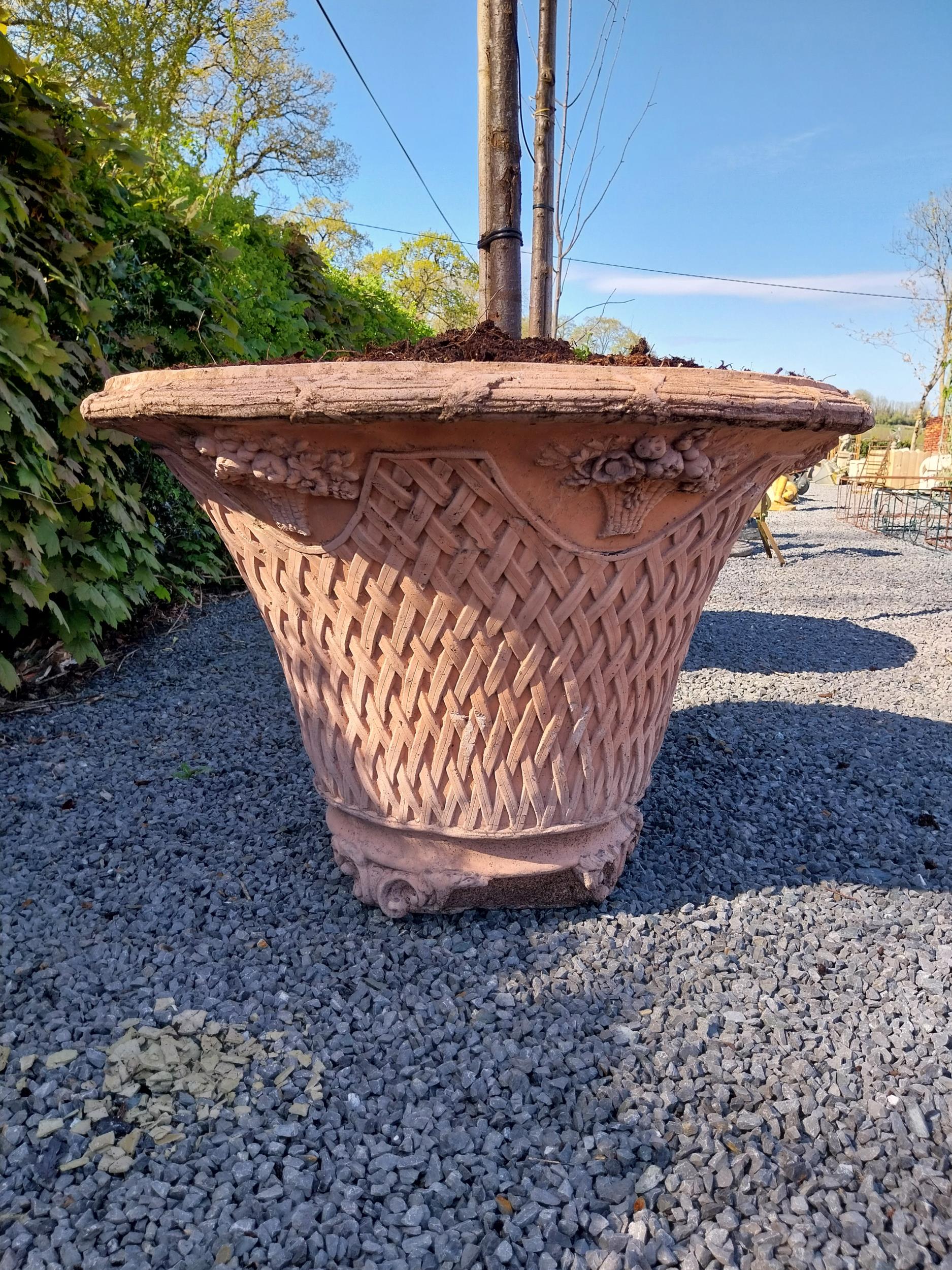 Pair of moulded terracotta lattice urns with tree {Urn dimension 77 cm H x 105 cm Dia.}. - Image 5 of 5