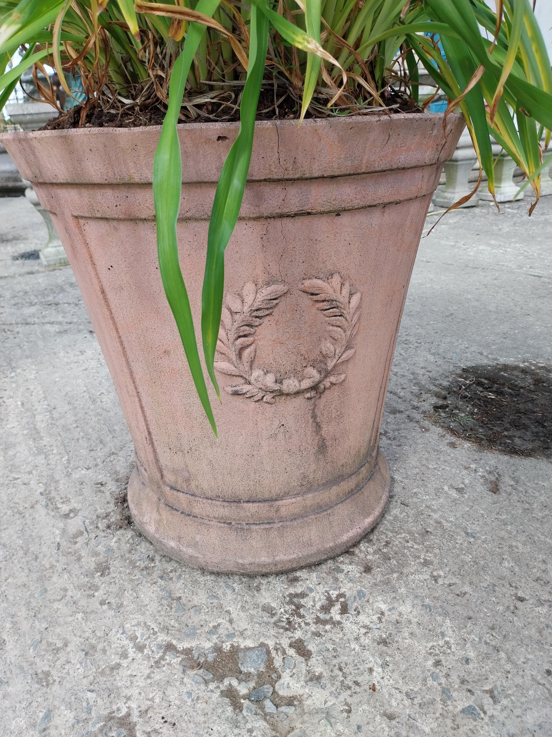 Pair of moulded terracotta planters decorated with rosettes {51 cm H x 50 cm Dia.}. - Image 4 of 4