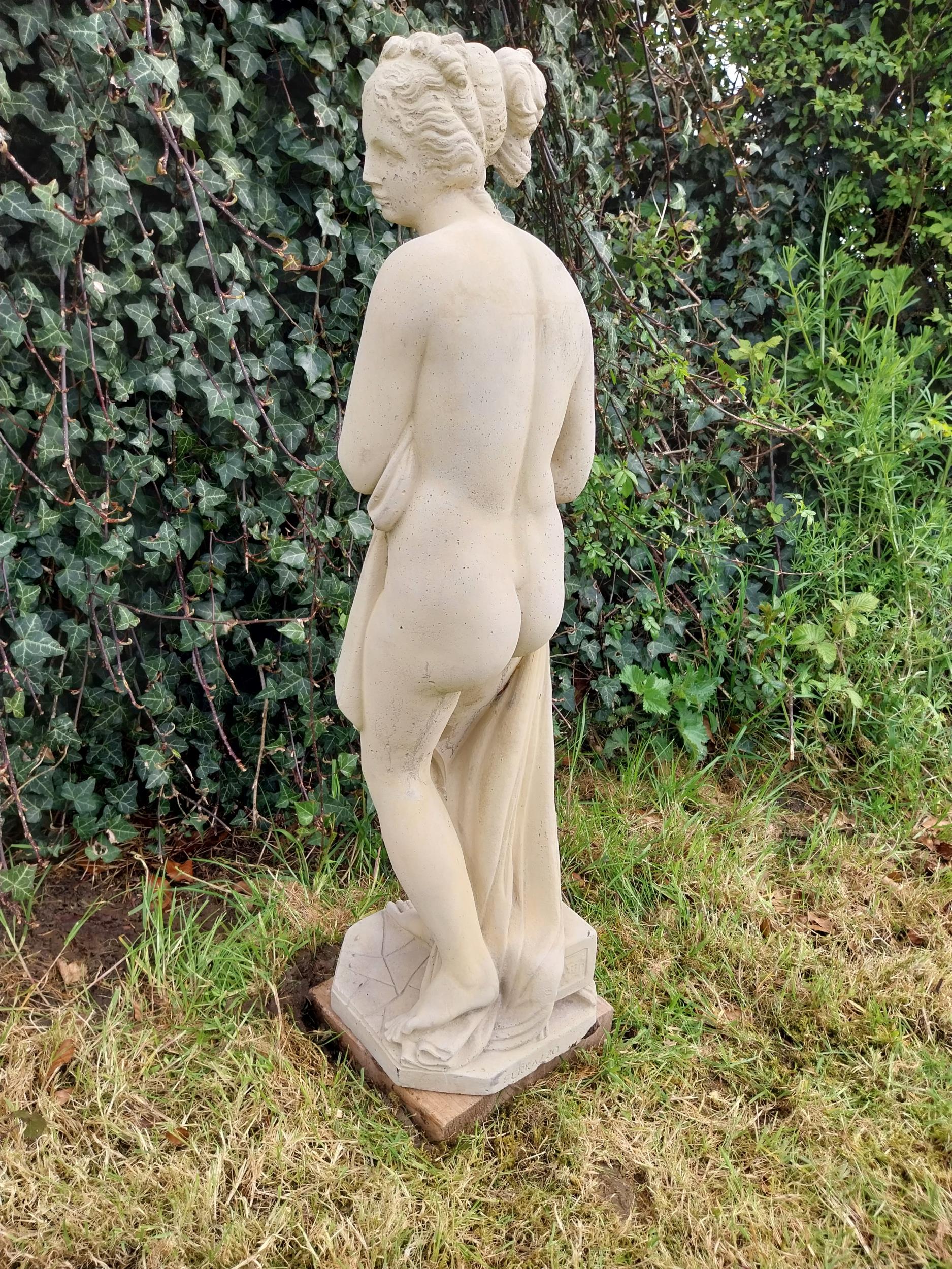 Good quality moulded stone statue of Venus {71 cm H x 21 cm W 22 cm D}. - Bild 7 aus 9