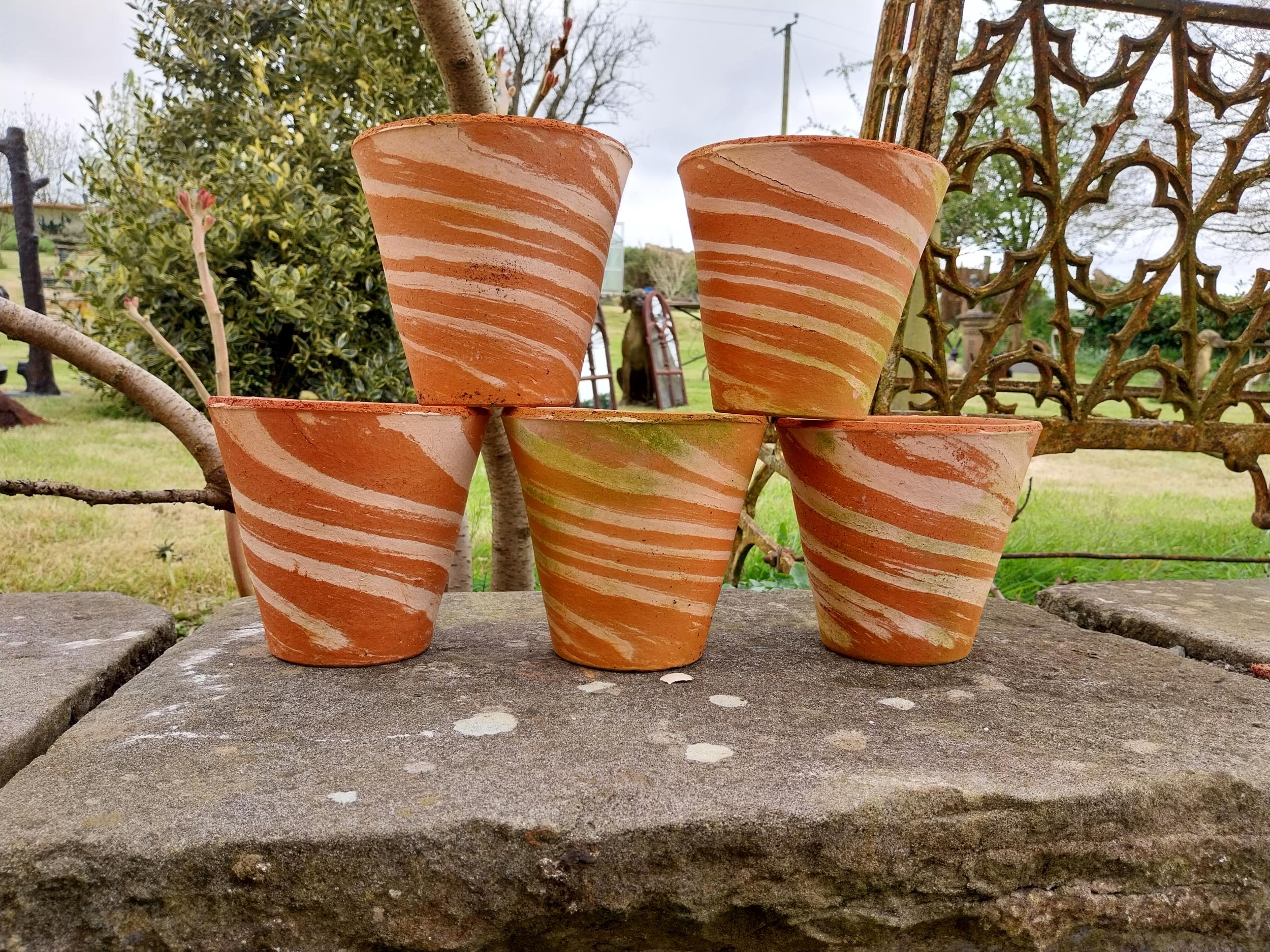 Collection of five terracotta plant pots with spiral design {15 cm H x 16 cm Dia.}.