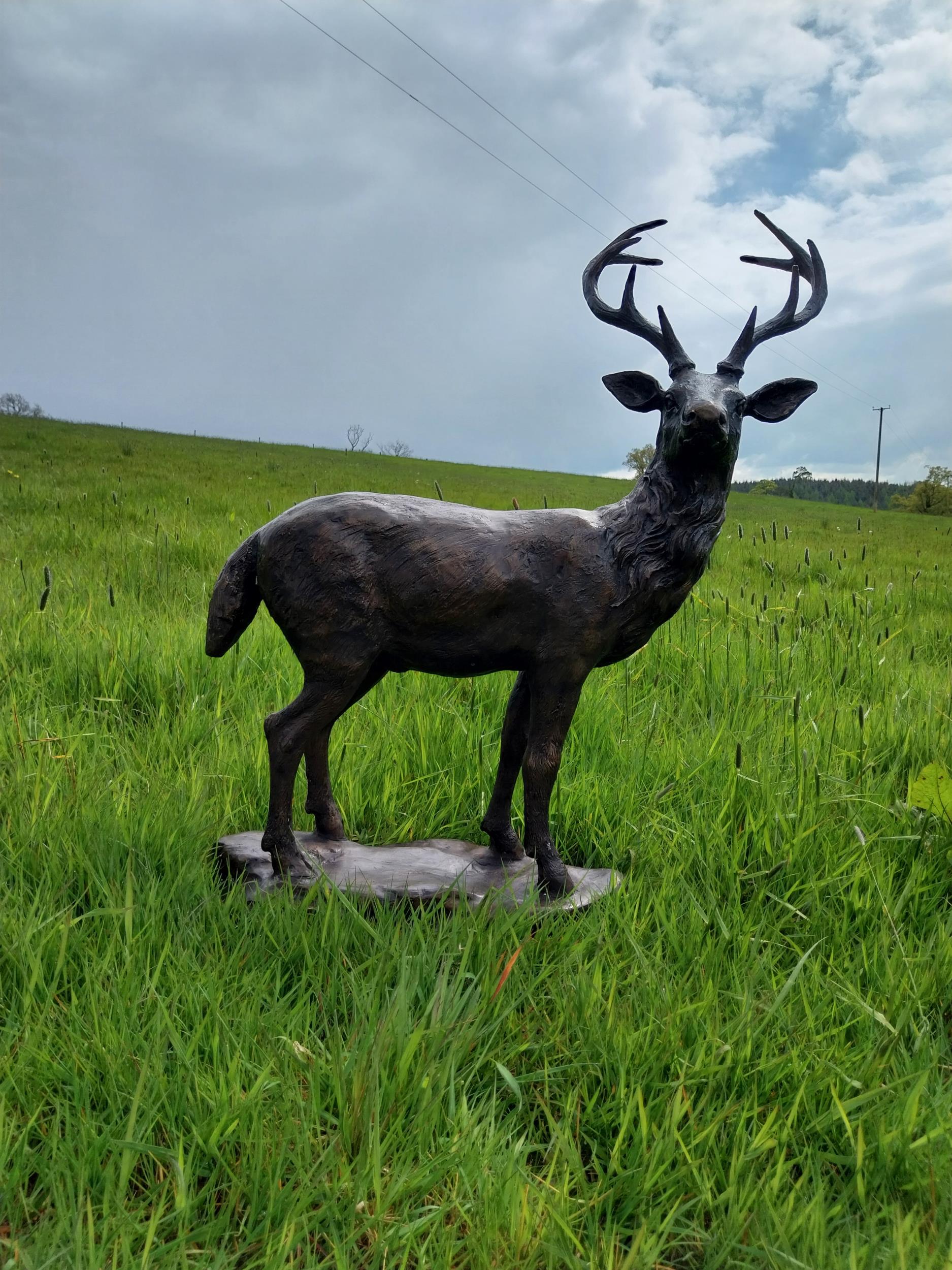 Exceptional quality statue of Stag on craggy rock {92 cm H x 78 cm W x 37 cm D}.