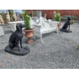 Pair of good quality French cast iron statues of dogs mounted on plinths {90 cm H x 43 cm W x 82