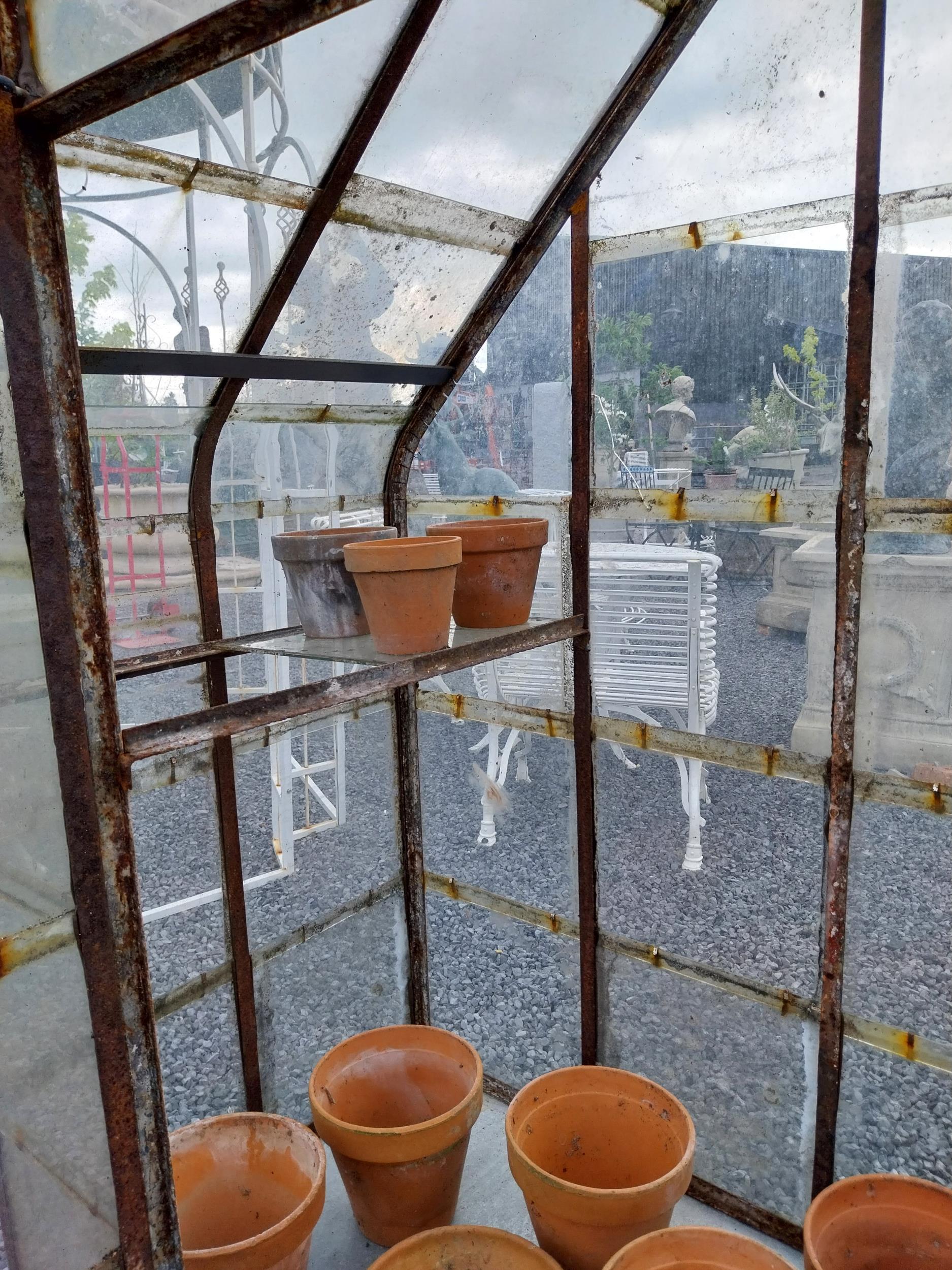 19th C. French wrought iron and glass greenhouse {174 cm H x 137 cm W x 73 cm D}. - Image 3 of 4