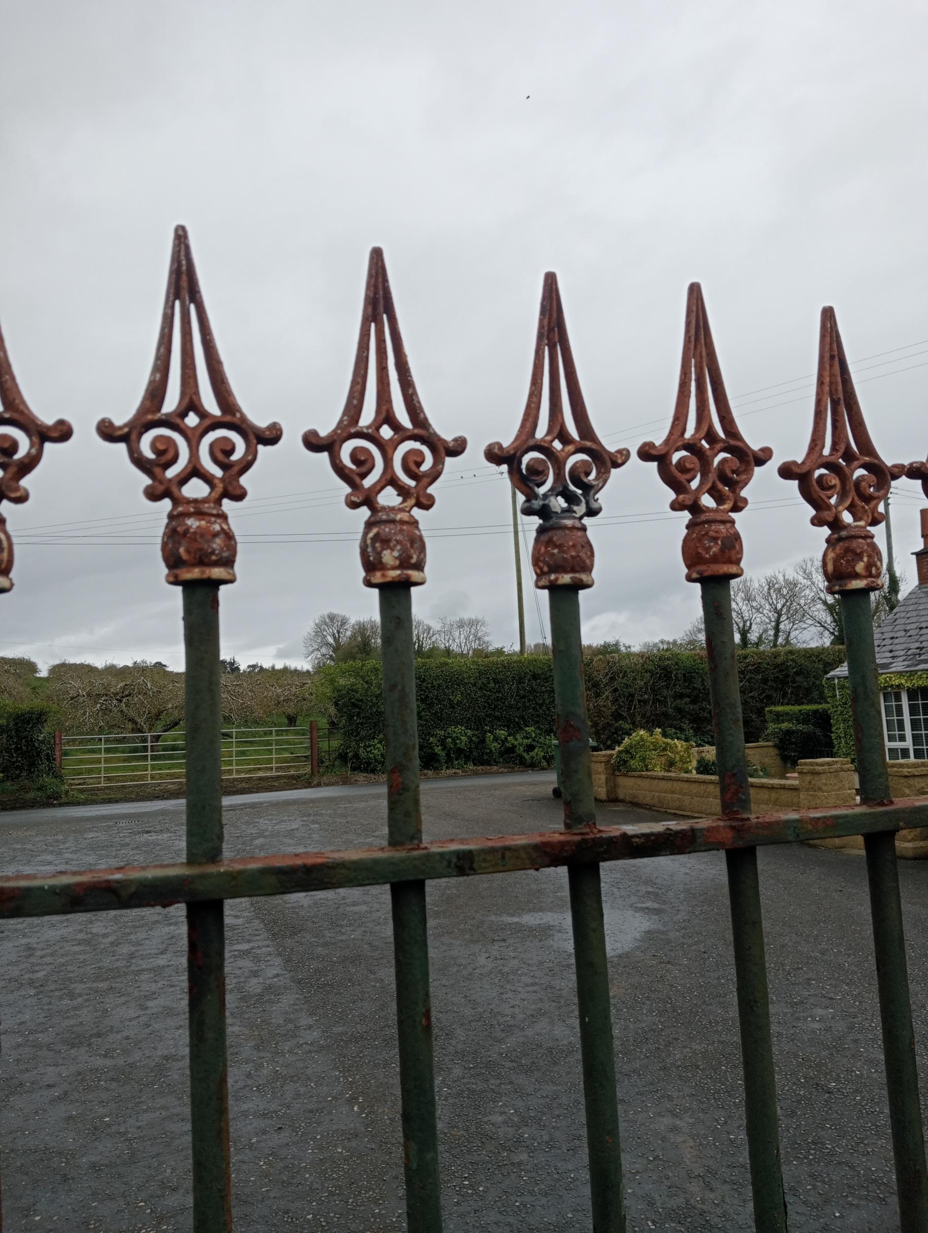 Pair of wrought iron gates spiked finials {H 160cm x W 310cm }. (NOT AVAILABLE TO VIEW IN PERSON) - Image 3 of 4